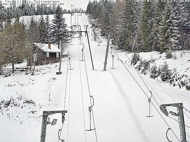 Archiv Foto Webcam Schwarzwald: Lift bei Kaltenbronn