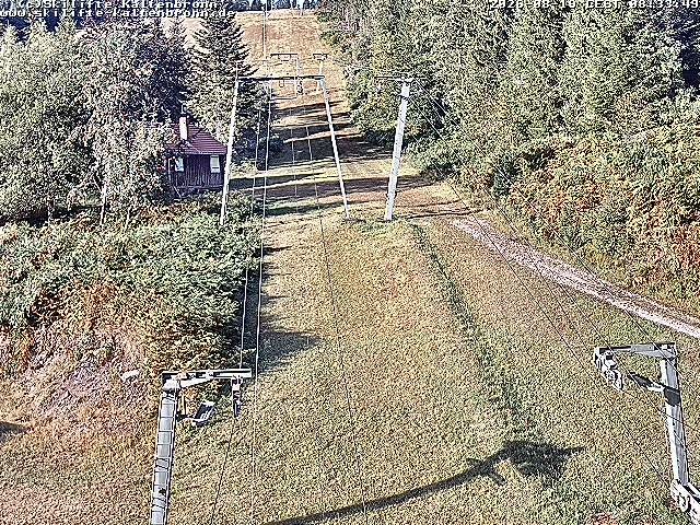 Archiv Foto Webcam Schwarzwald: Lift bei Kaltenbronn