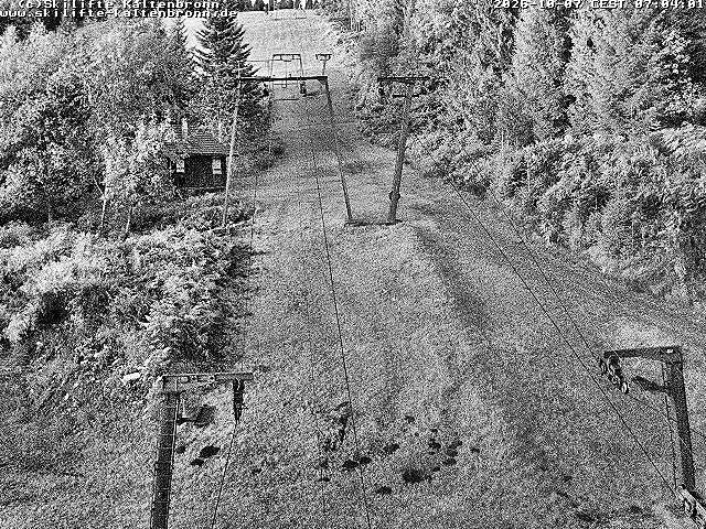 Archiv Foto Webcam Schwarzwald: Lift bei Kaltenbronn