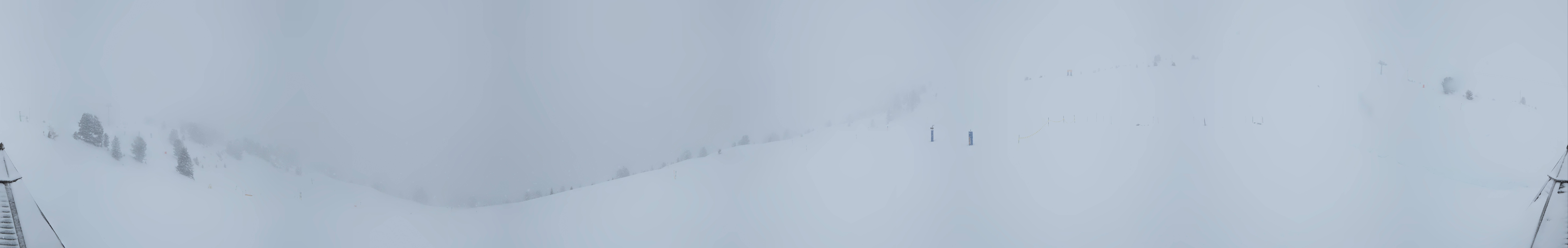 Archived image Webcam Kreuzwiese