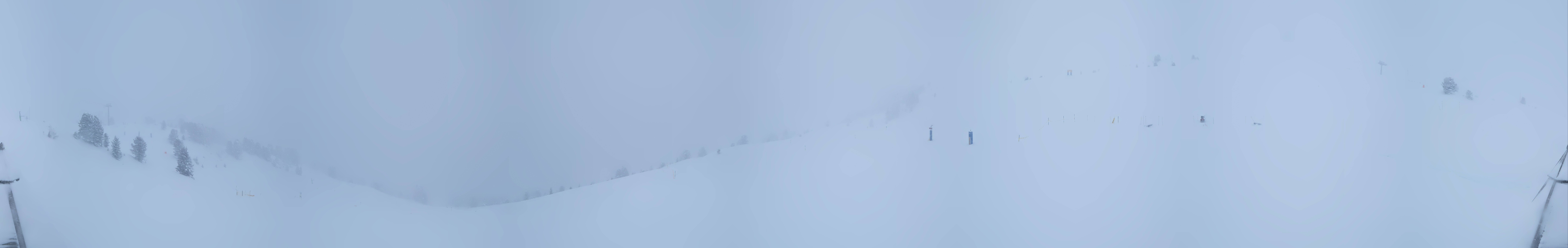 Archived image Webcam Kreuzwiese