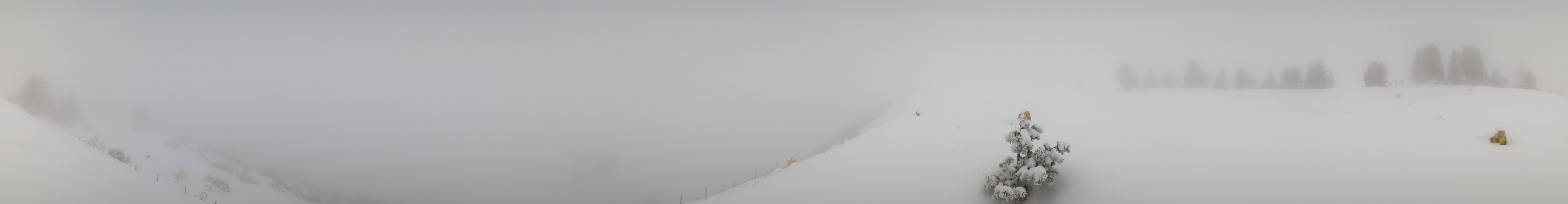 Archiv Foto Webcam Gerlos Latschensee