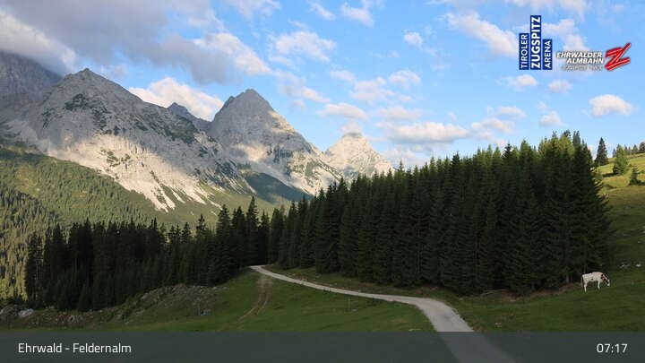 Archiv Foto Webcam Ehrwalder Alm - Feldernalm