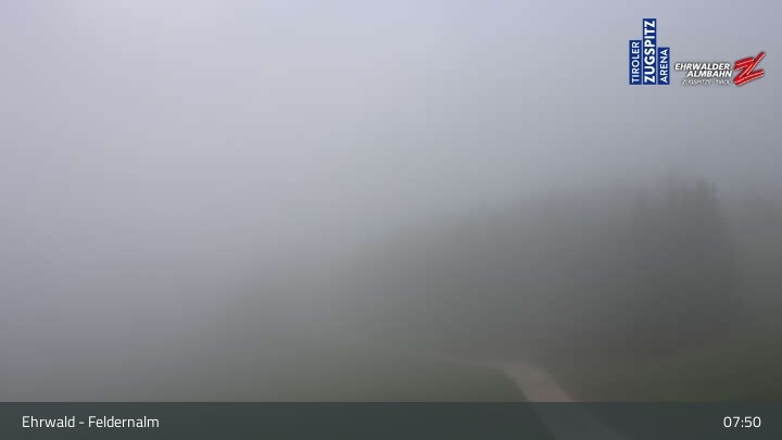 Archived image Webcam Ehrwald Alm - Feldernalm Zugspitze