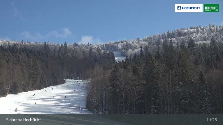 Archived image Webcam Entrance Ski Resort Hochficht