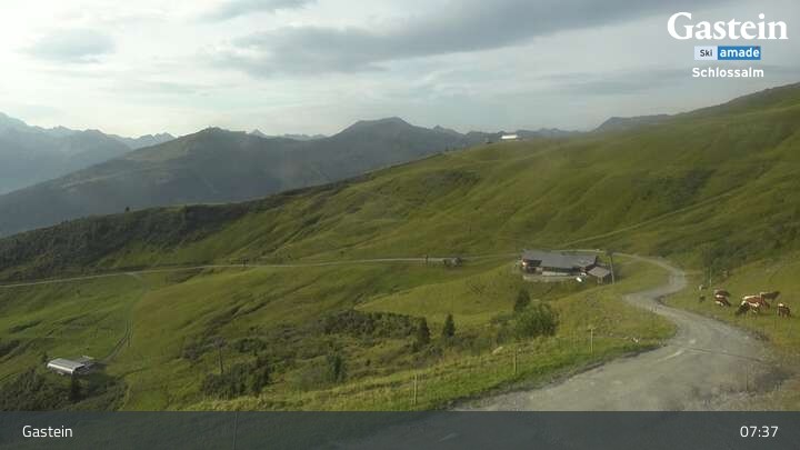 Archiv Foto Webcam Berghütte Weitmoseralm