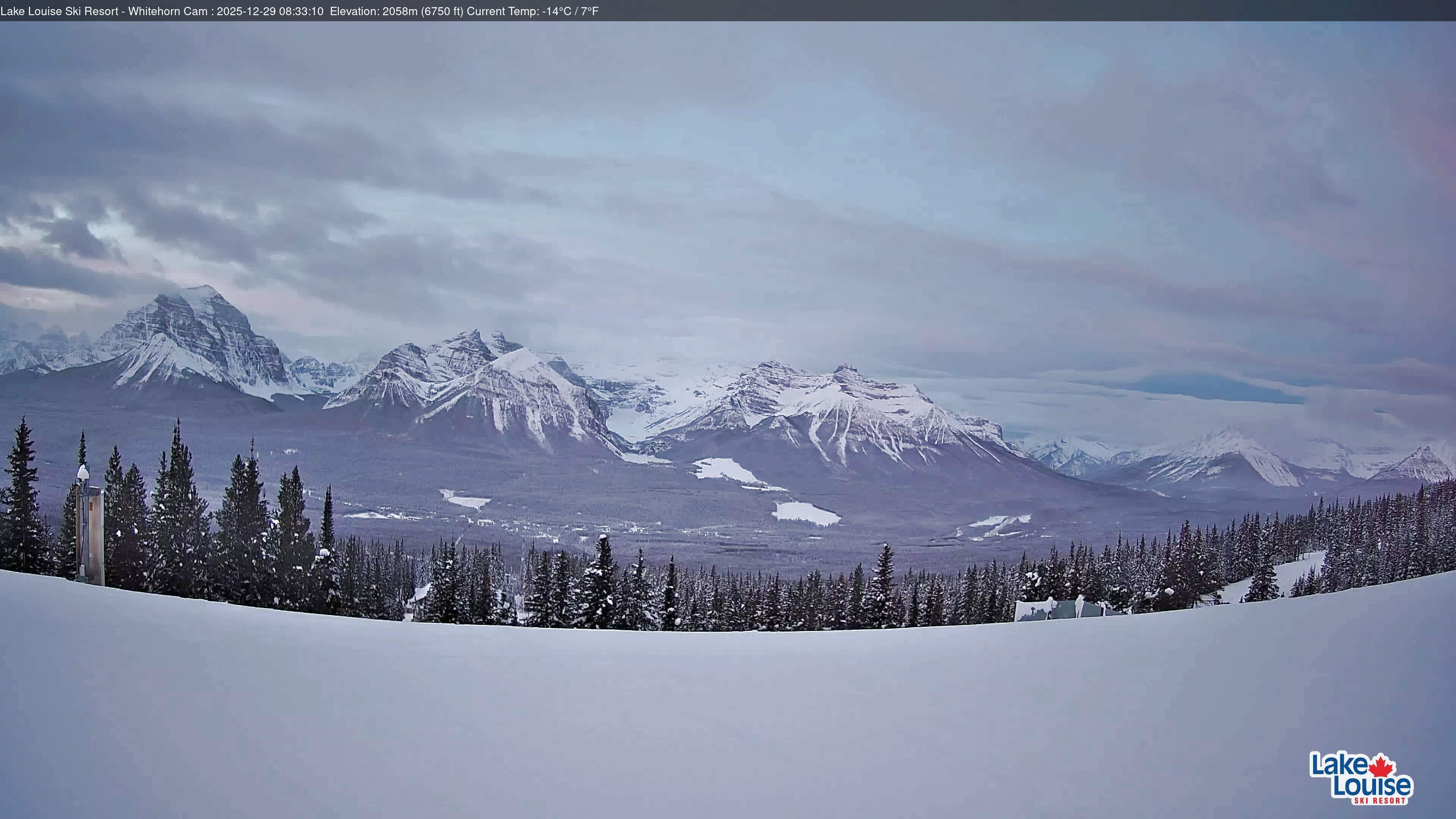 Archiv Foto Webcam Whitehorn Lodge (2.058m)