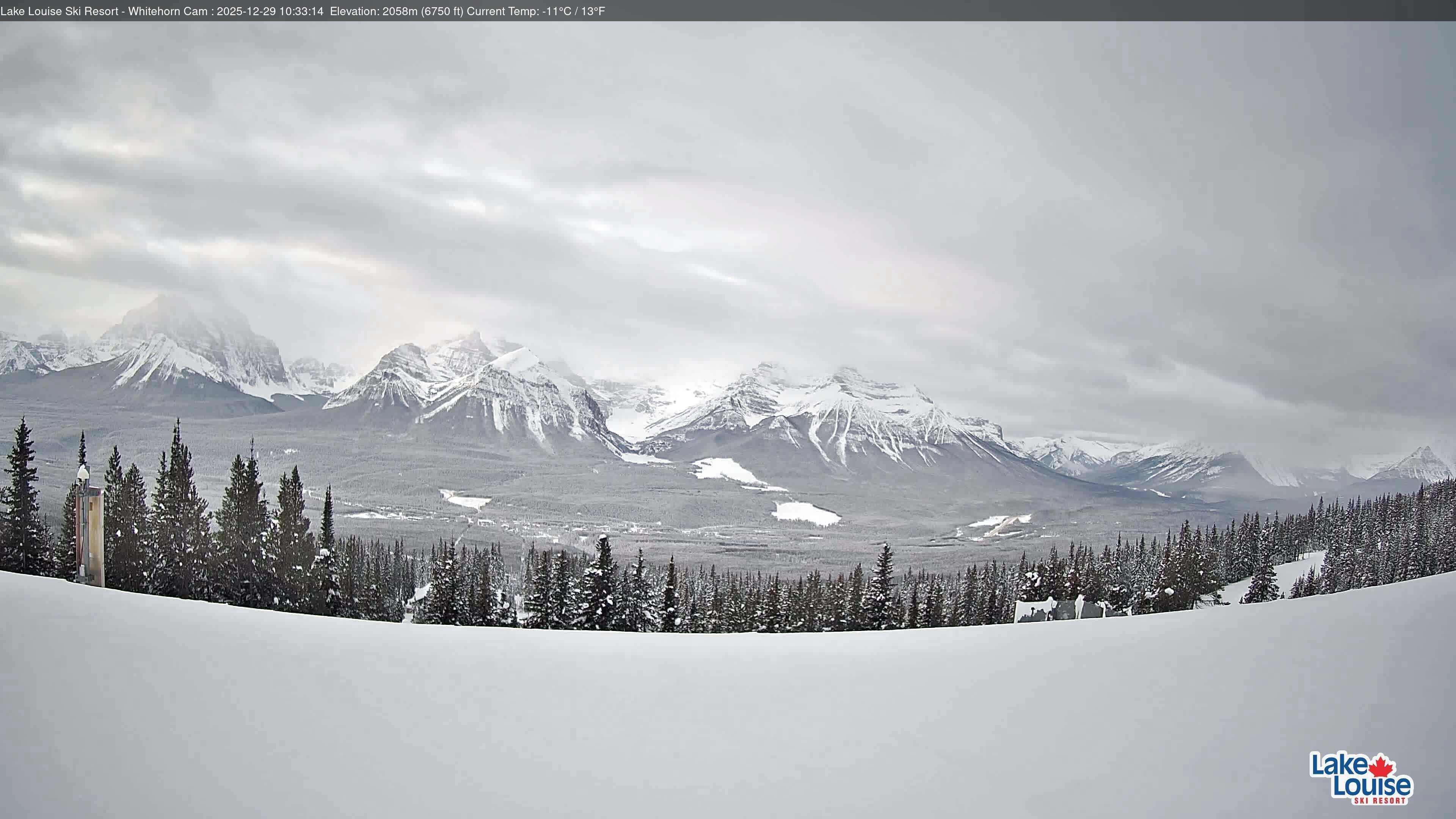 Archiv Foto Webcam Whitehorn Lodge (2.058m)