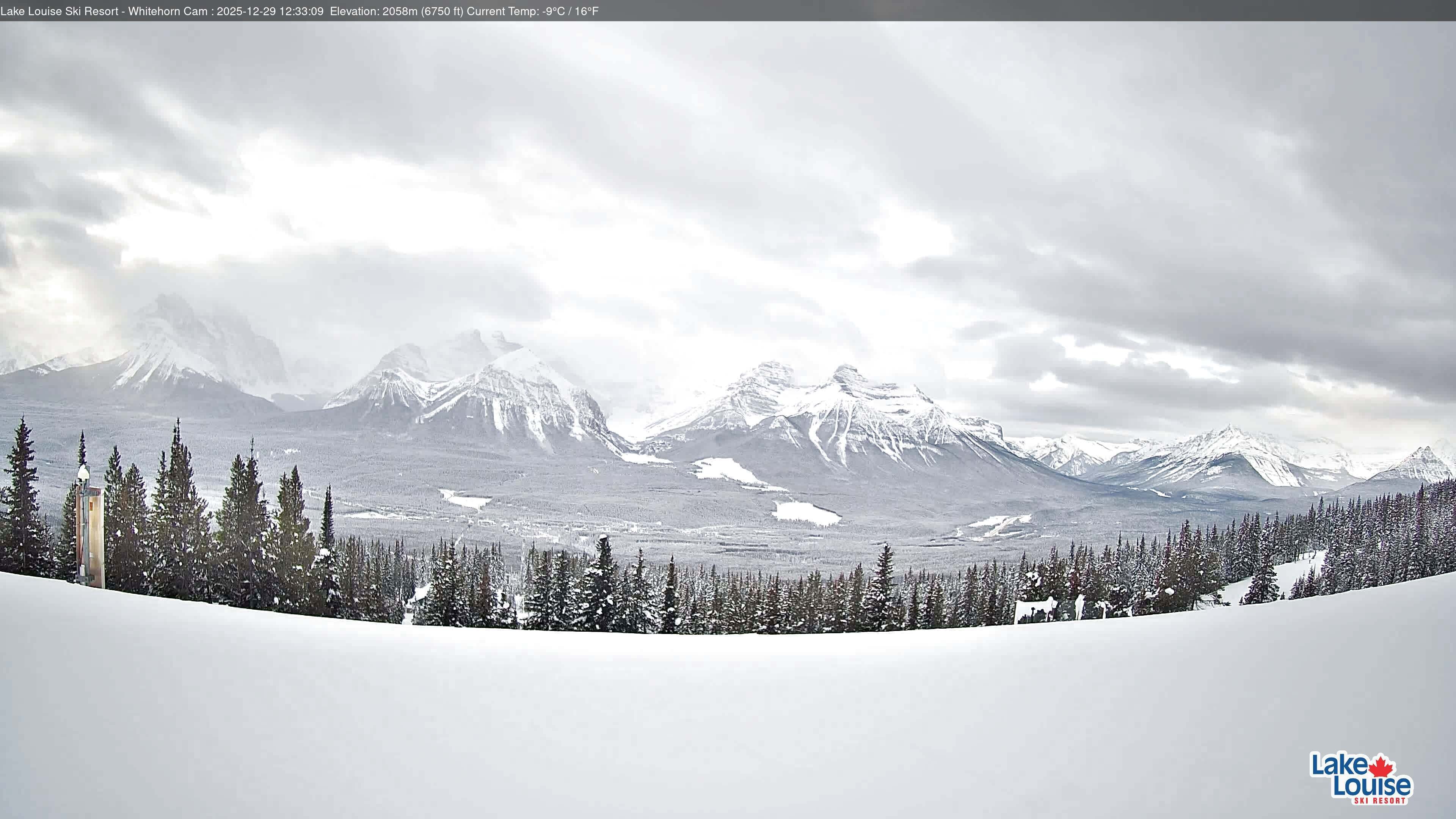 Archiv Foto Webcam Whitehorn Lodge (2.058m)