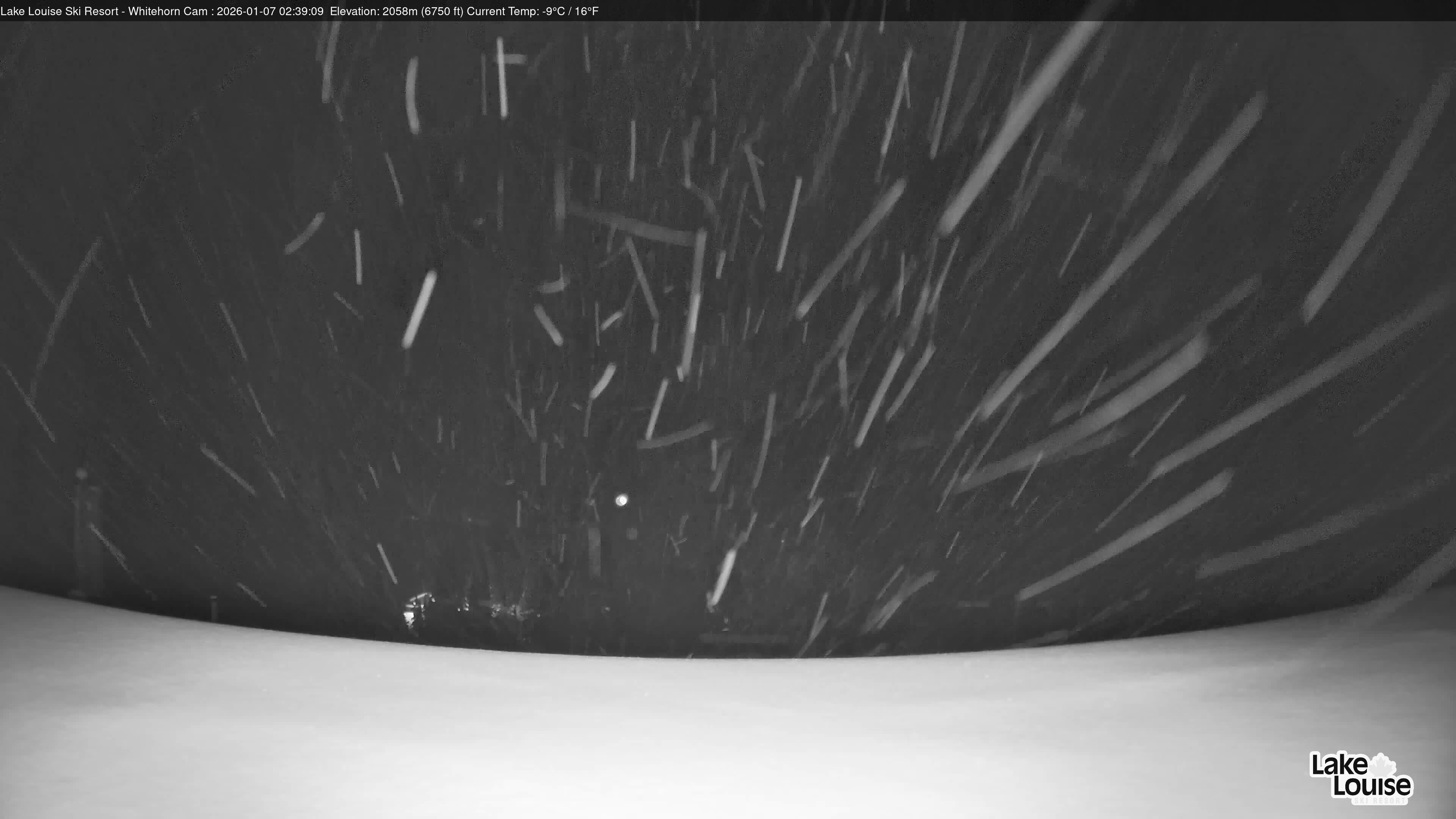 Archiv Foto Webcam Whitehorn Lodge (2.058m)