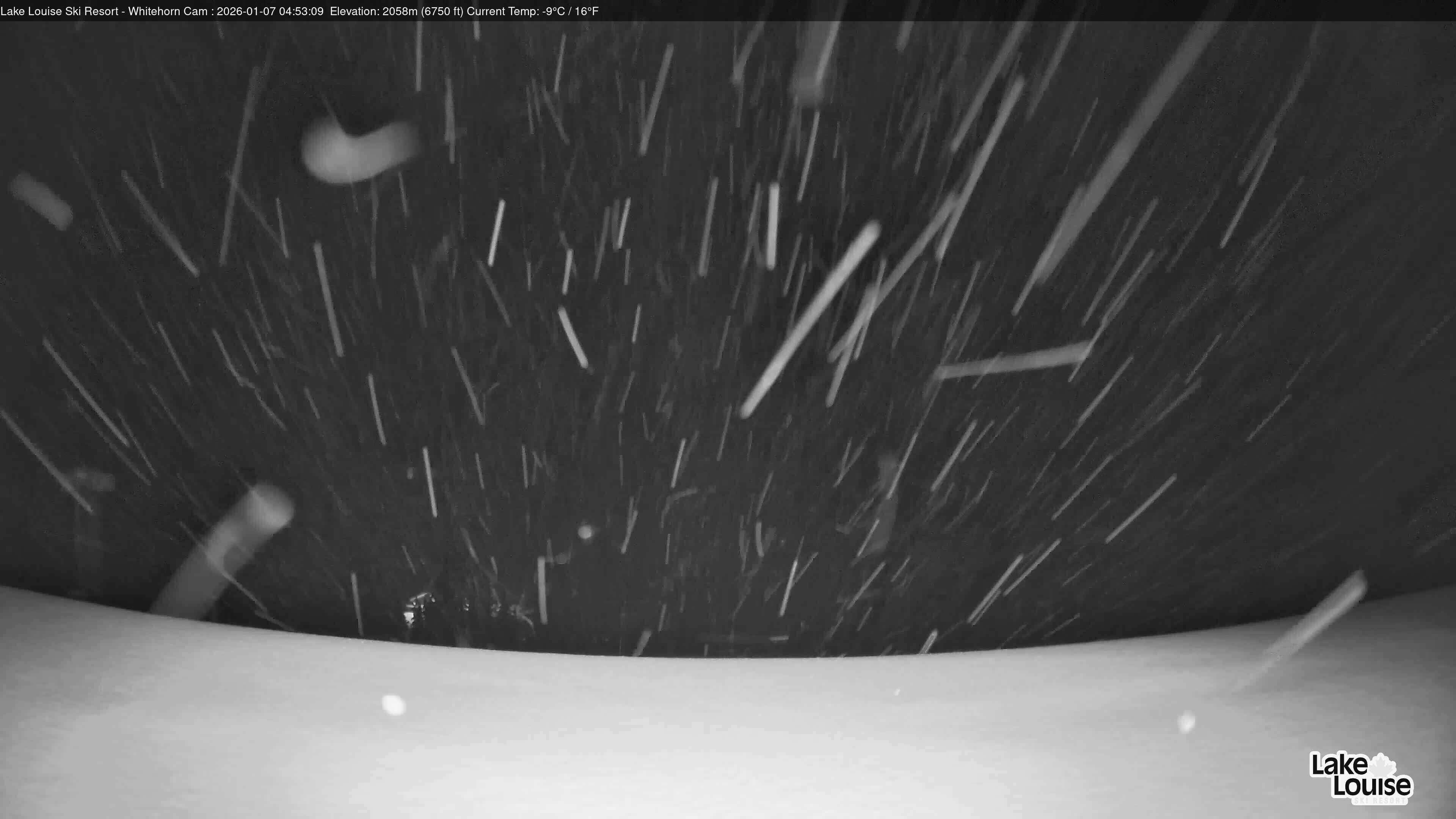 Archiv Foto Webcam Whitehorn Lodge (2.058m)