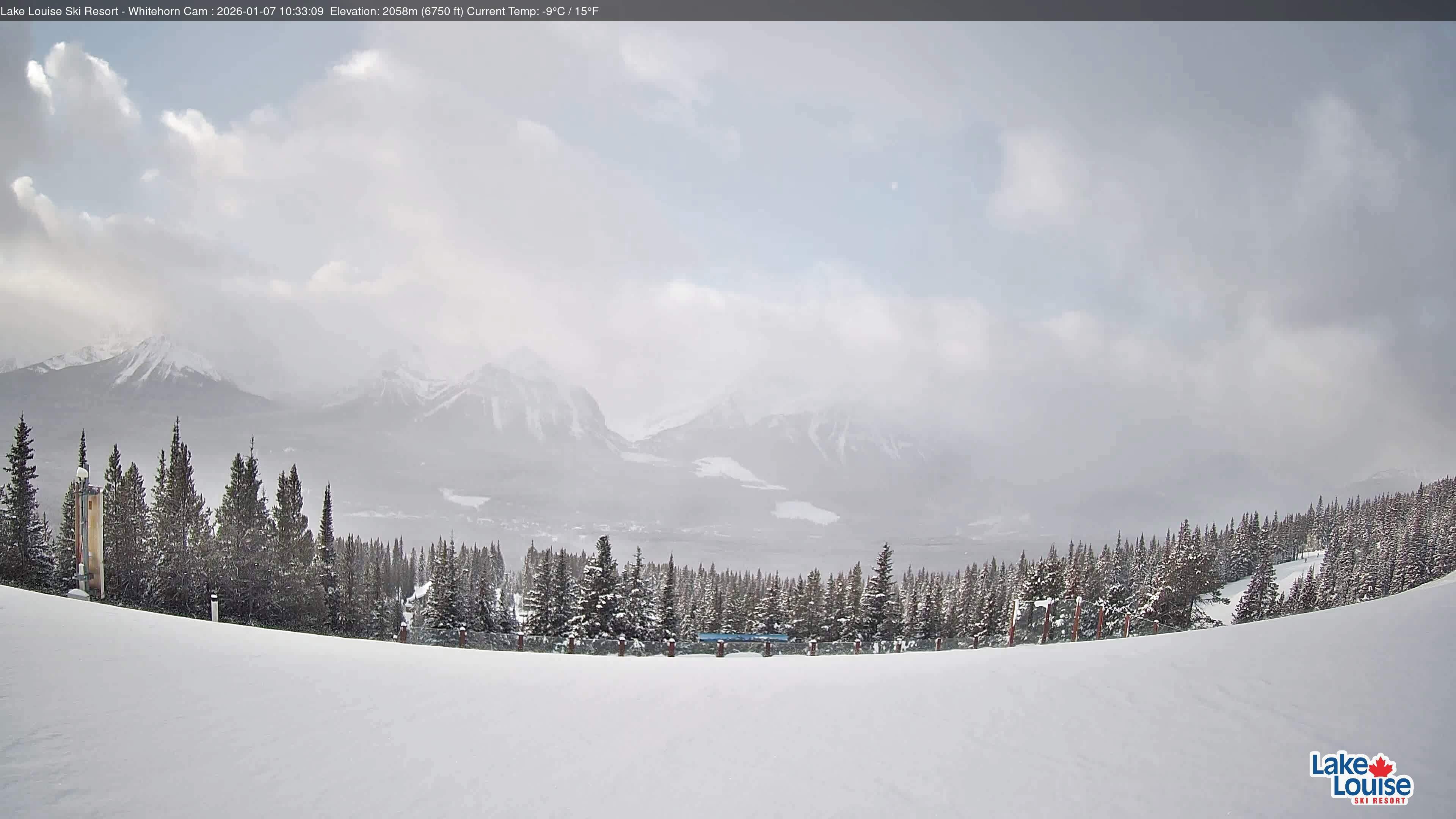 Archiv Foto Webcam Whitehorn Lodge (2.058m)