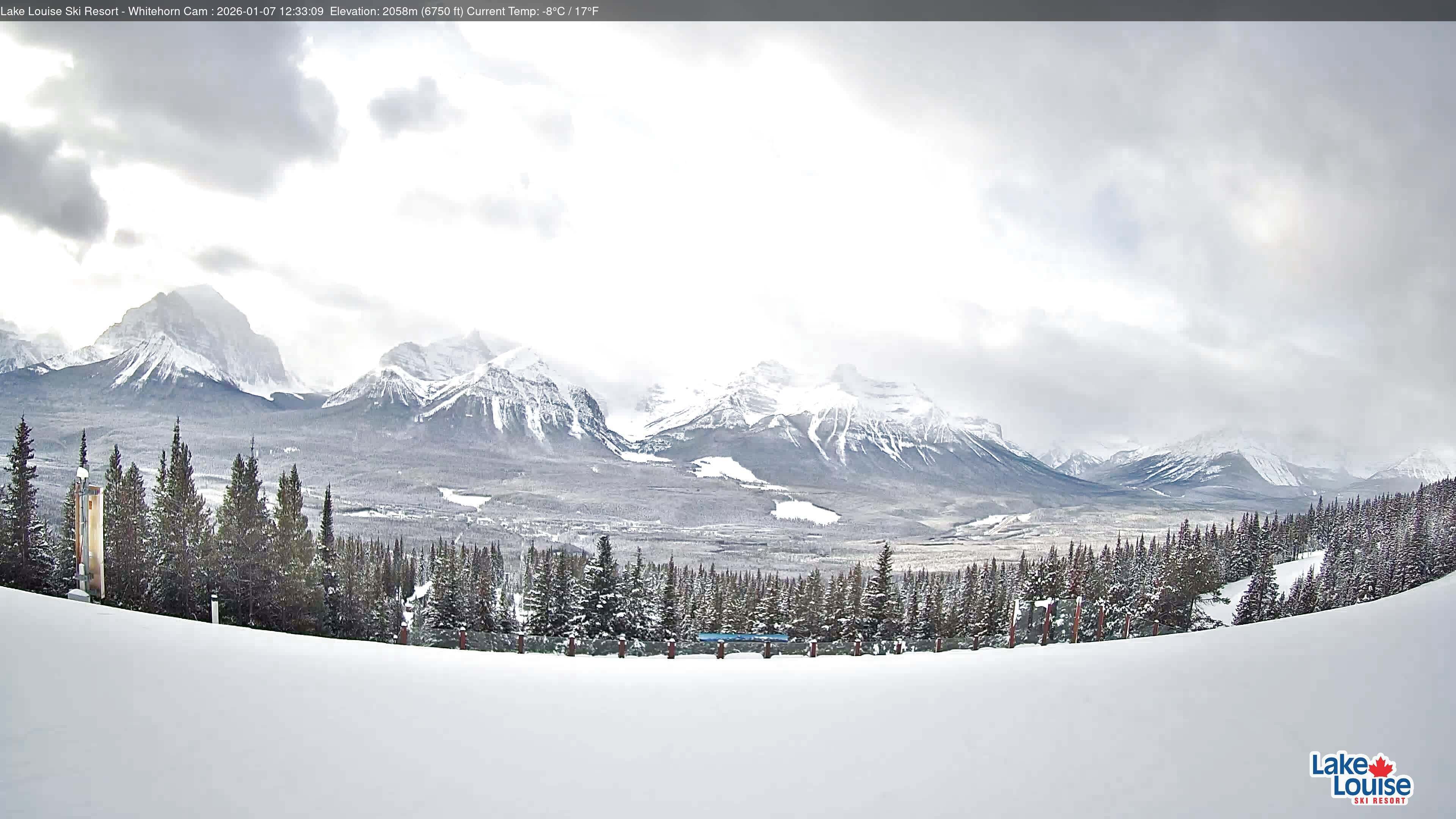 Archiv Foto Webcam Whitehorn Lodge (2.058m)