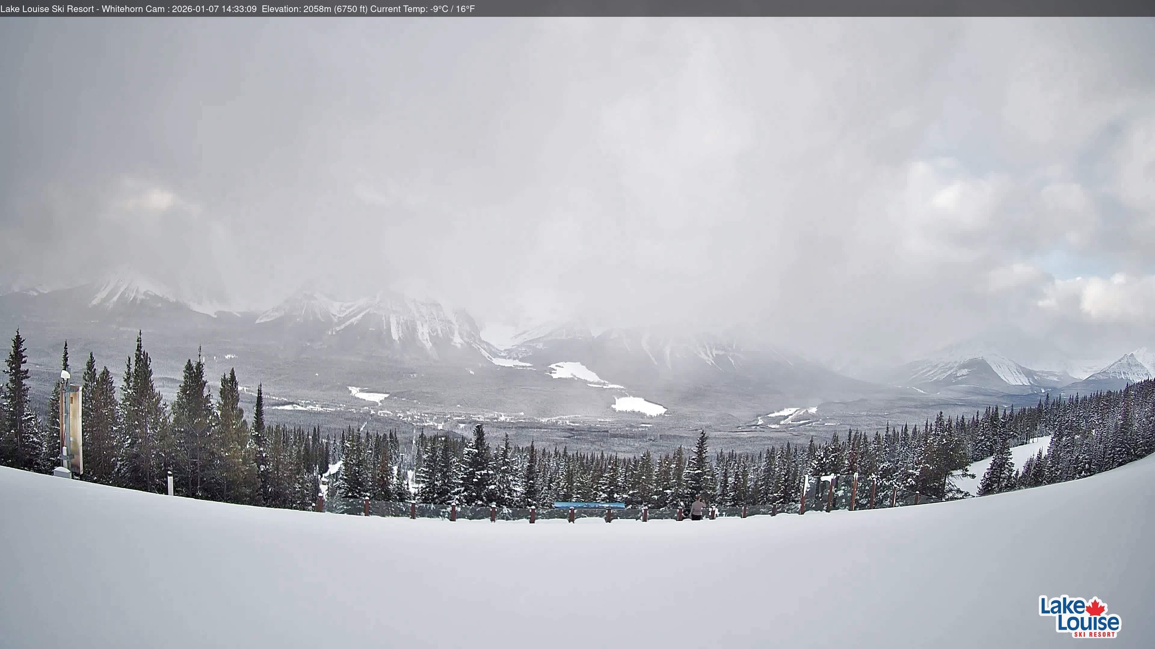 Archiv Foto Webcam Whitehorn Lodge (2.058m)