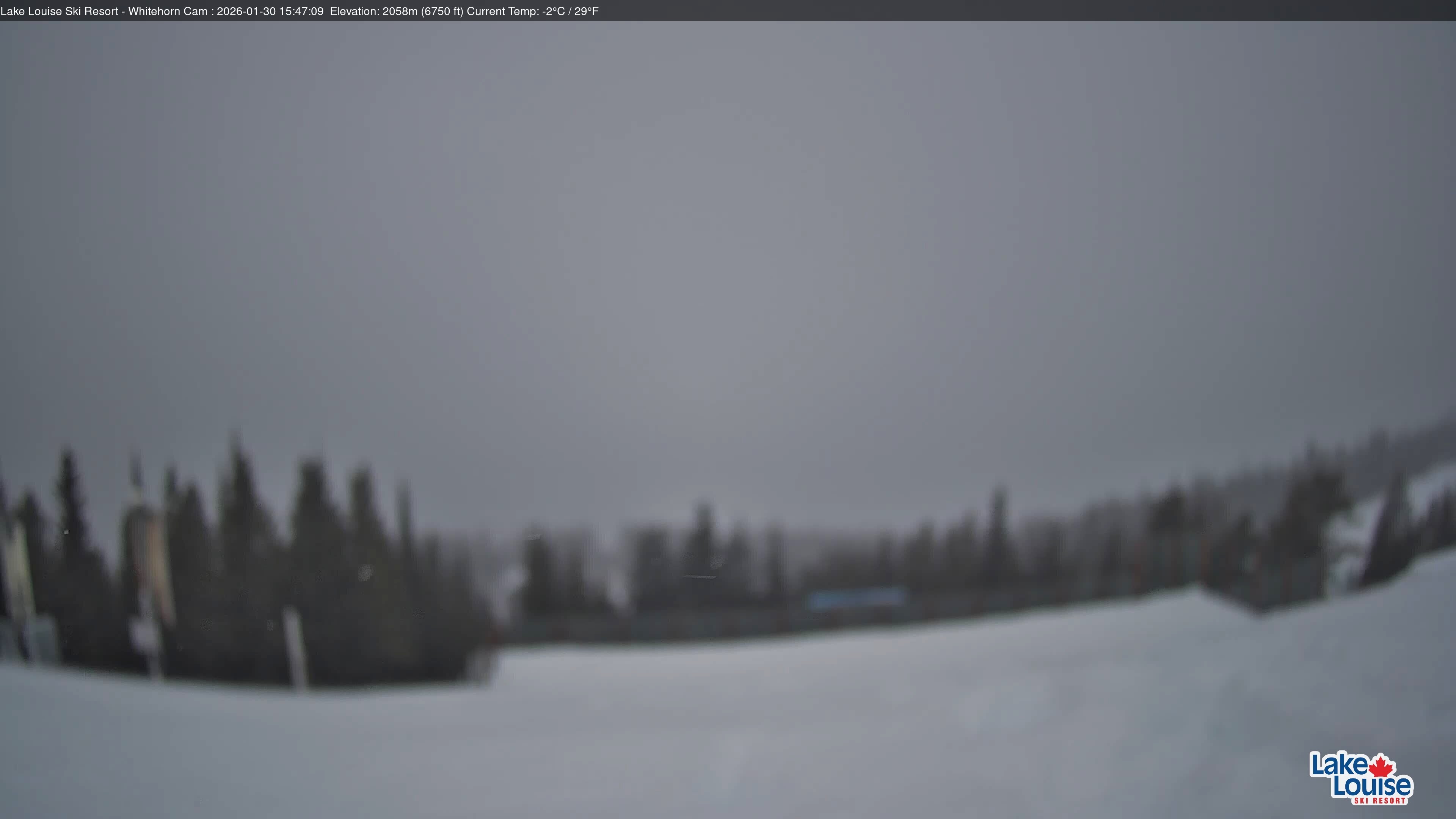 Archived image Webcam Whitehorn Lodge (2.058m)