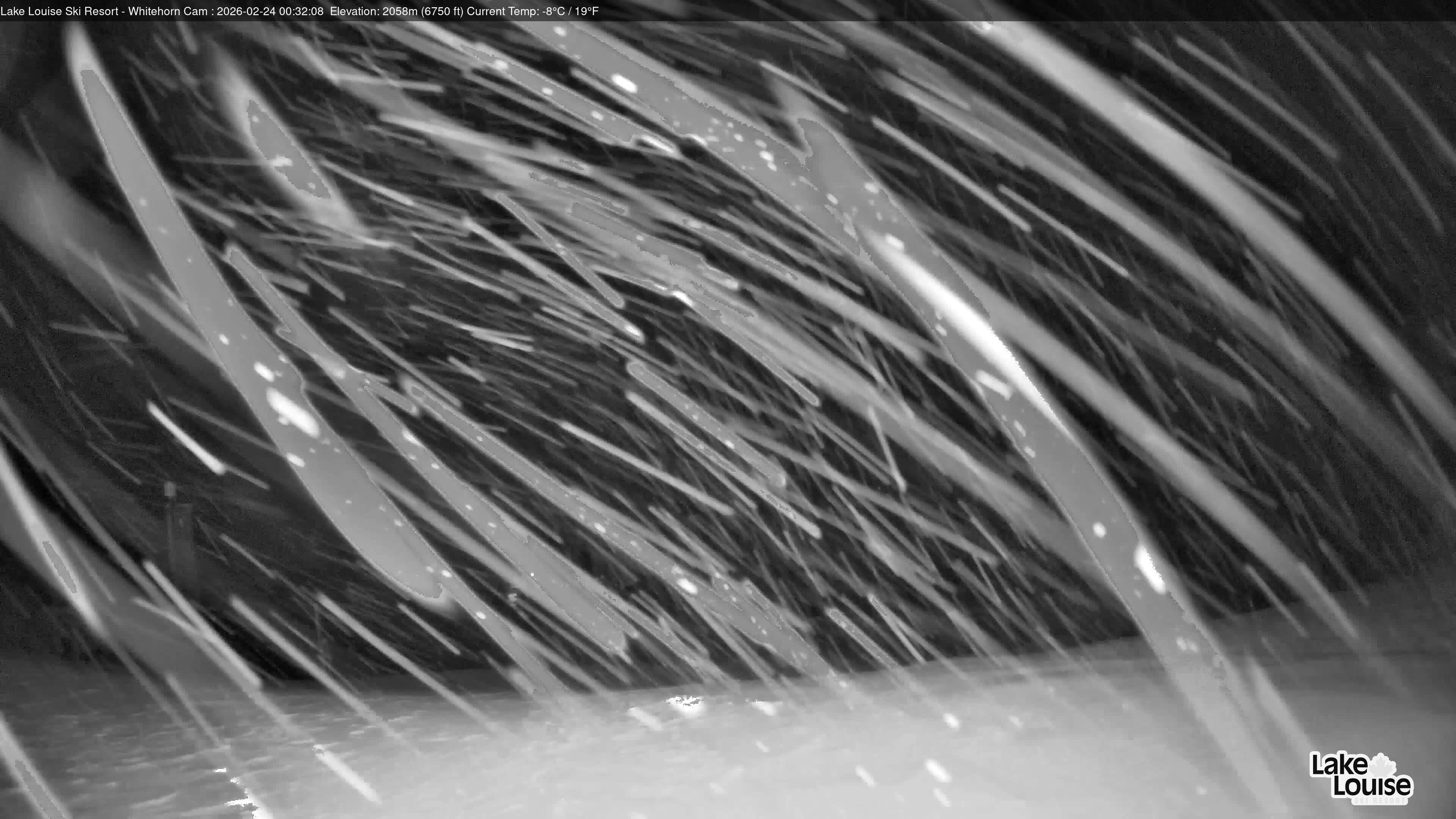 Archiv Foto Webcam Whitehorn Lodge (2.058m)