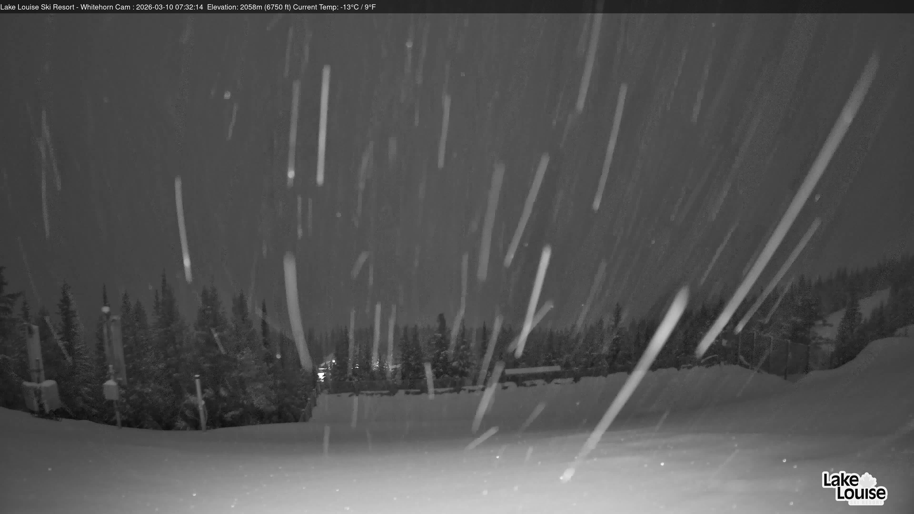Archiv Foto Webcam Whitehorn Lodge (2.058m)
