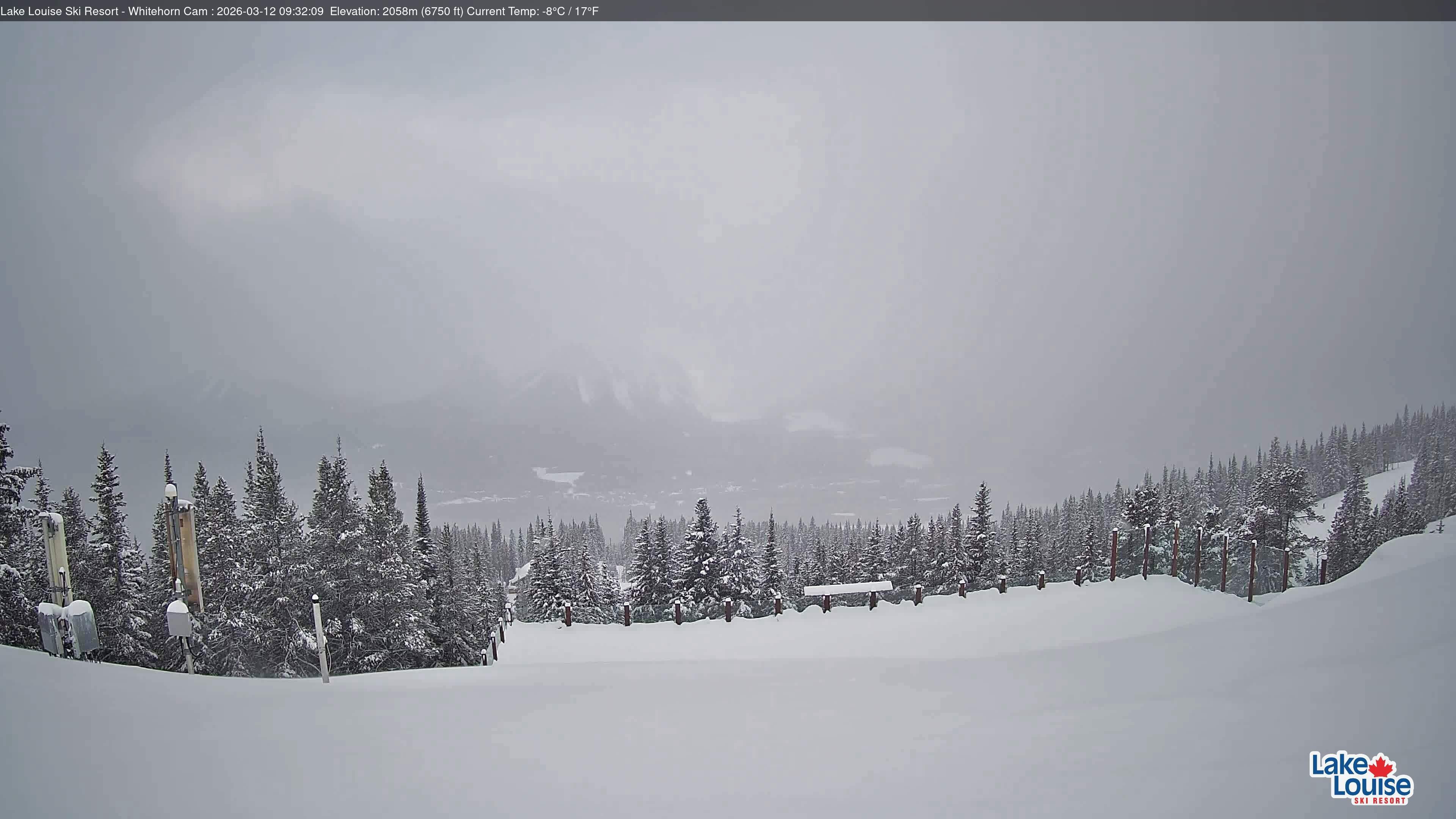 Archived image Webcam Whitehorn Lodge (2.058m)