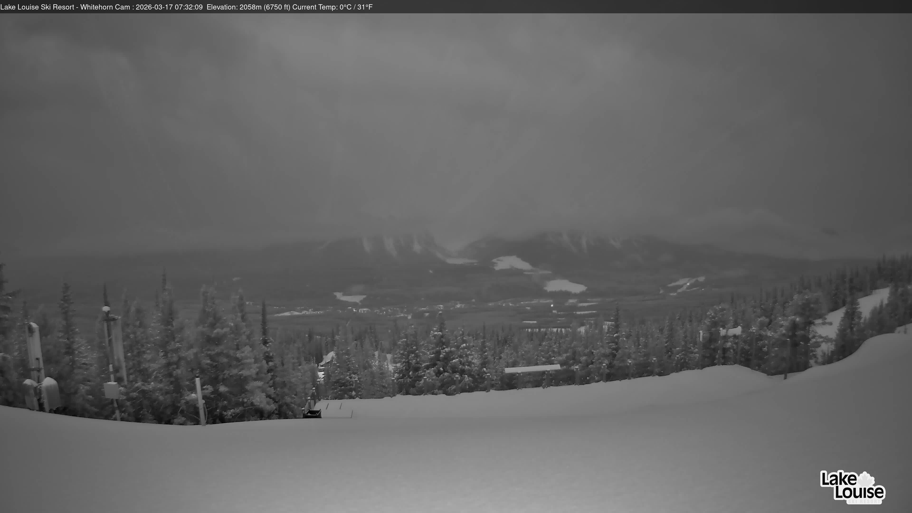 Archiv Foto Webcam Whitehorn Lodge (2.058m)