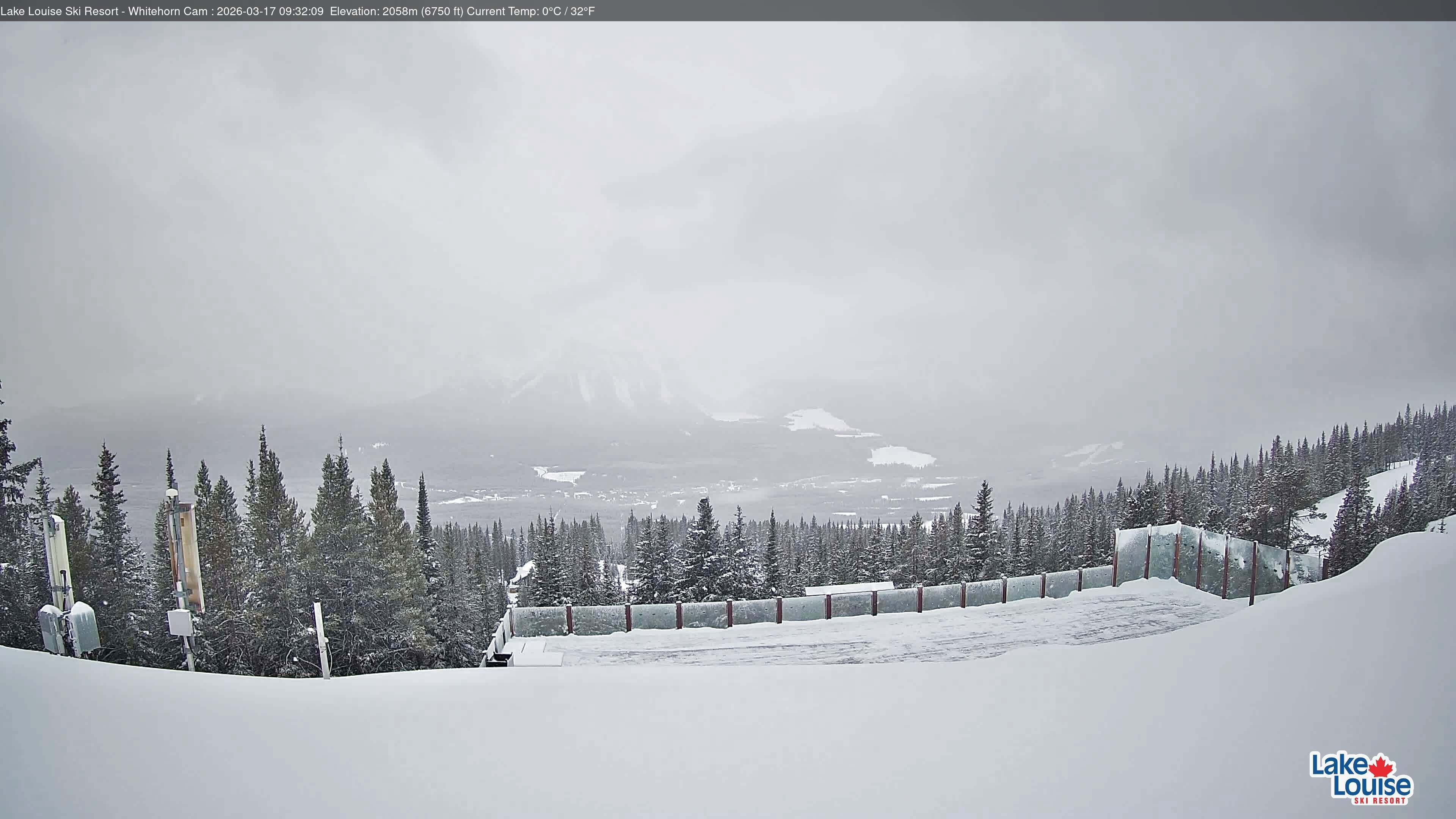 Archiv Foto Webcam Whitehorn Lodge (2.058m)