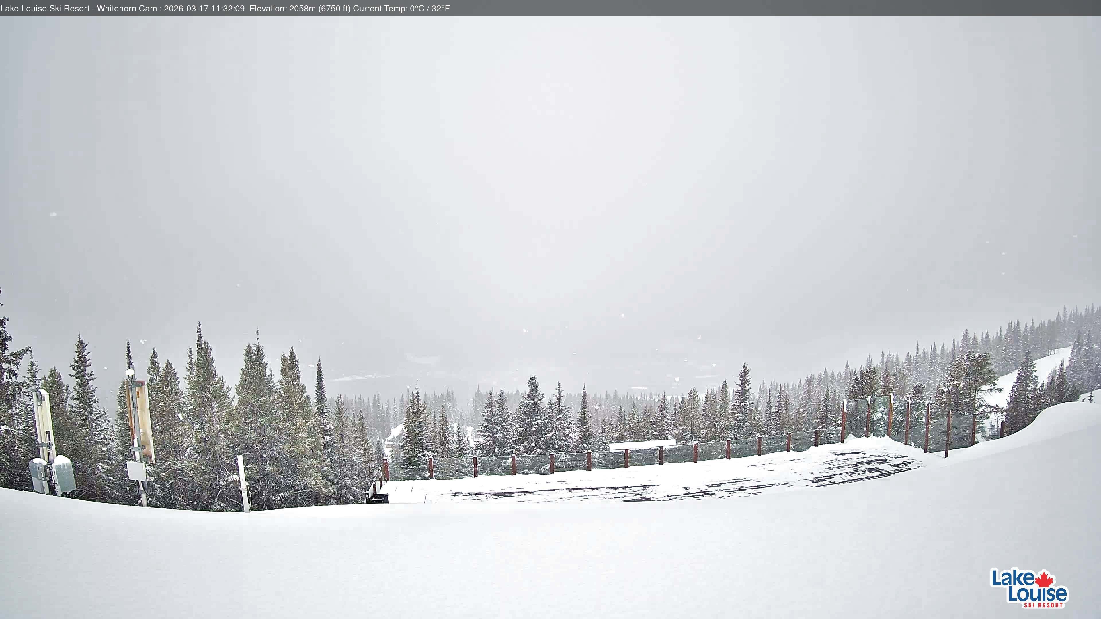 Archiv Foto Webcam Whitehorn Lodge (2.058m)