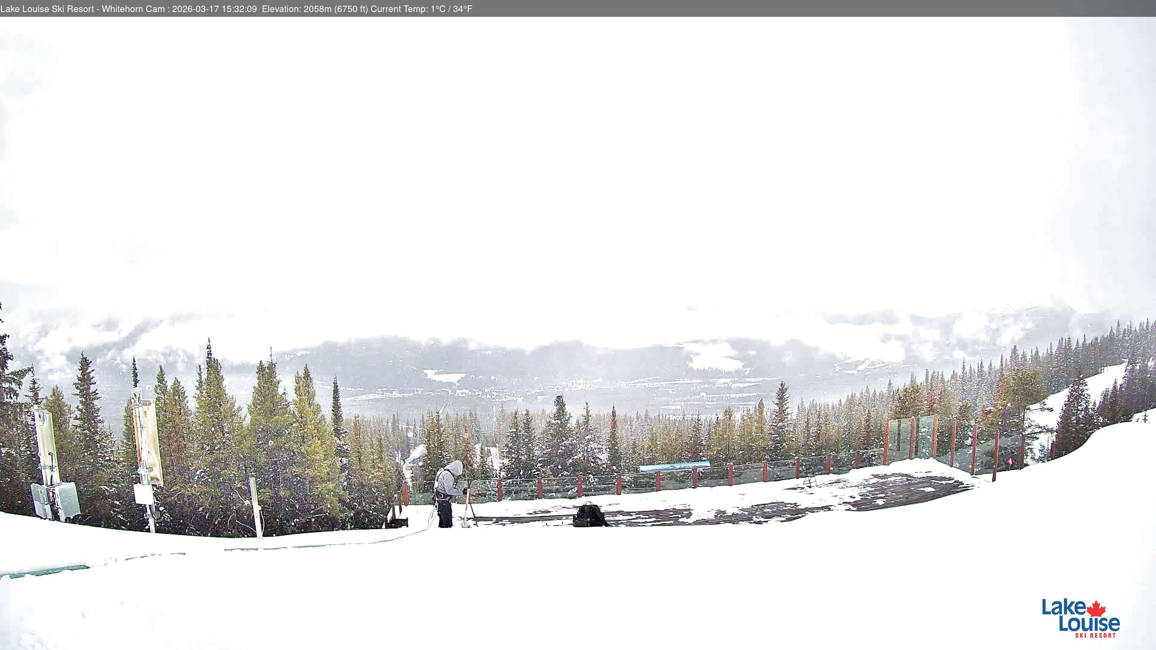 Archiv Foto Webcam Whitehorn Lodge (2.058m)