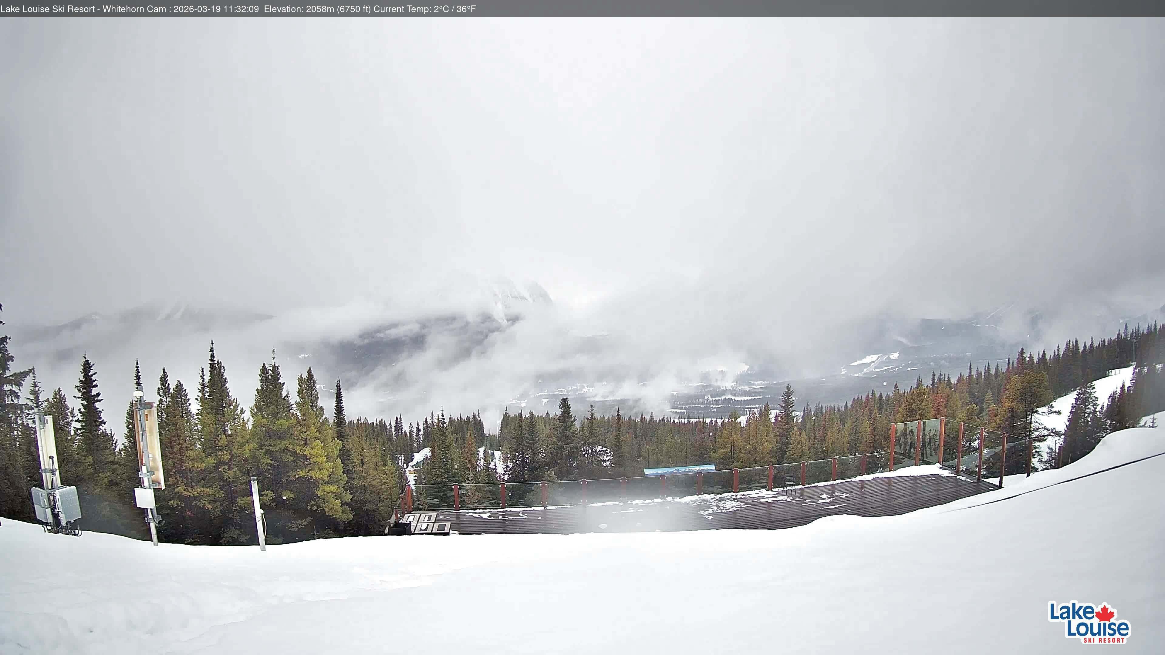 Archiv Foto Webcam Whitehorn Lodge (2.058m)