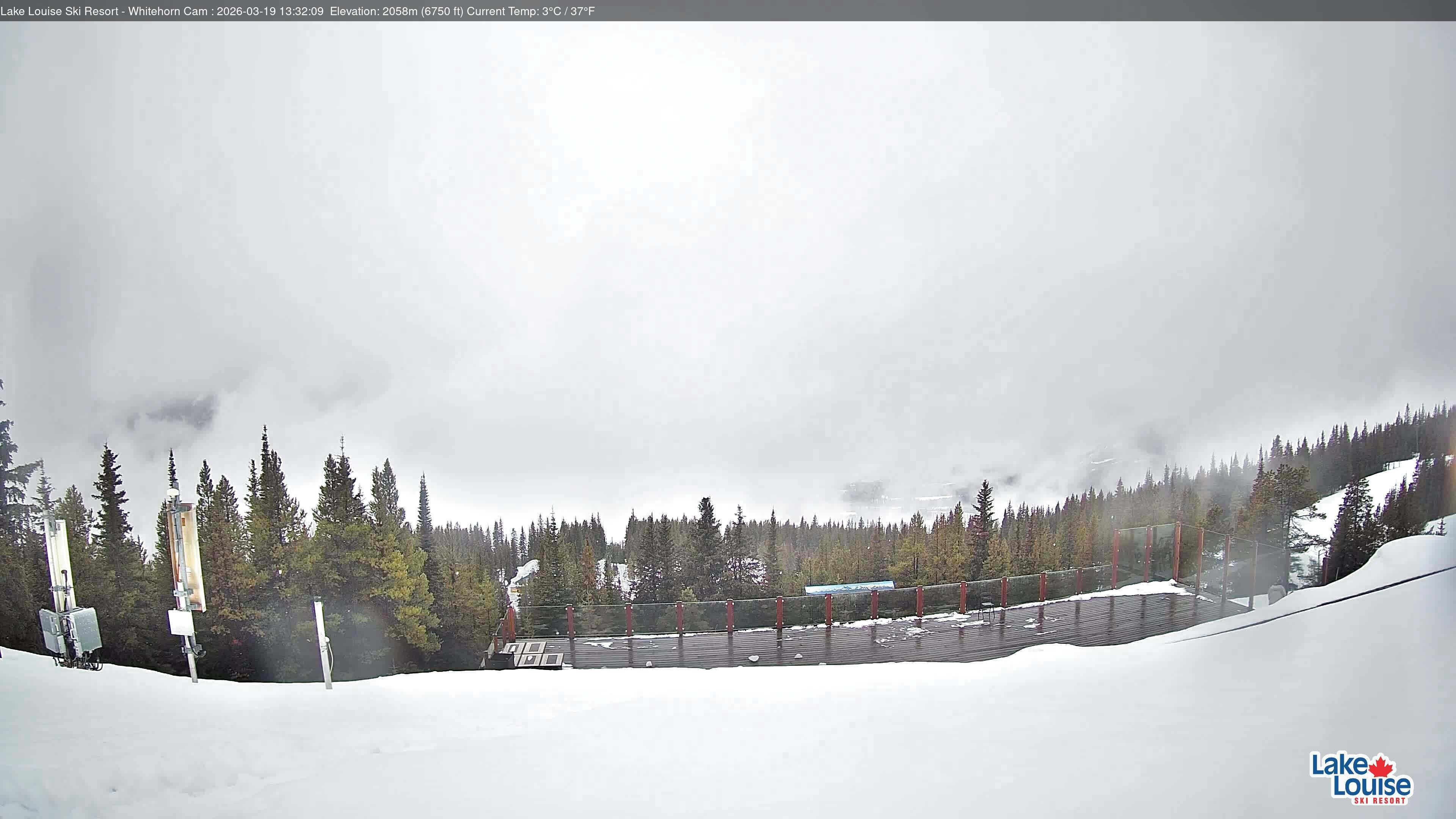 Archiv Foto Webcam Whitehorn Lodge (2.058m)