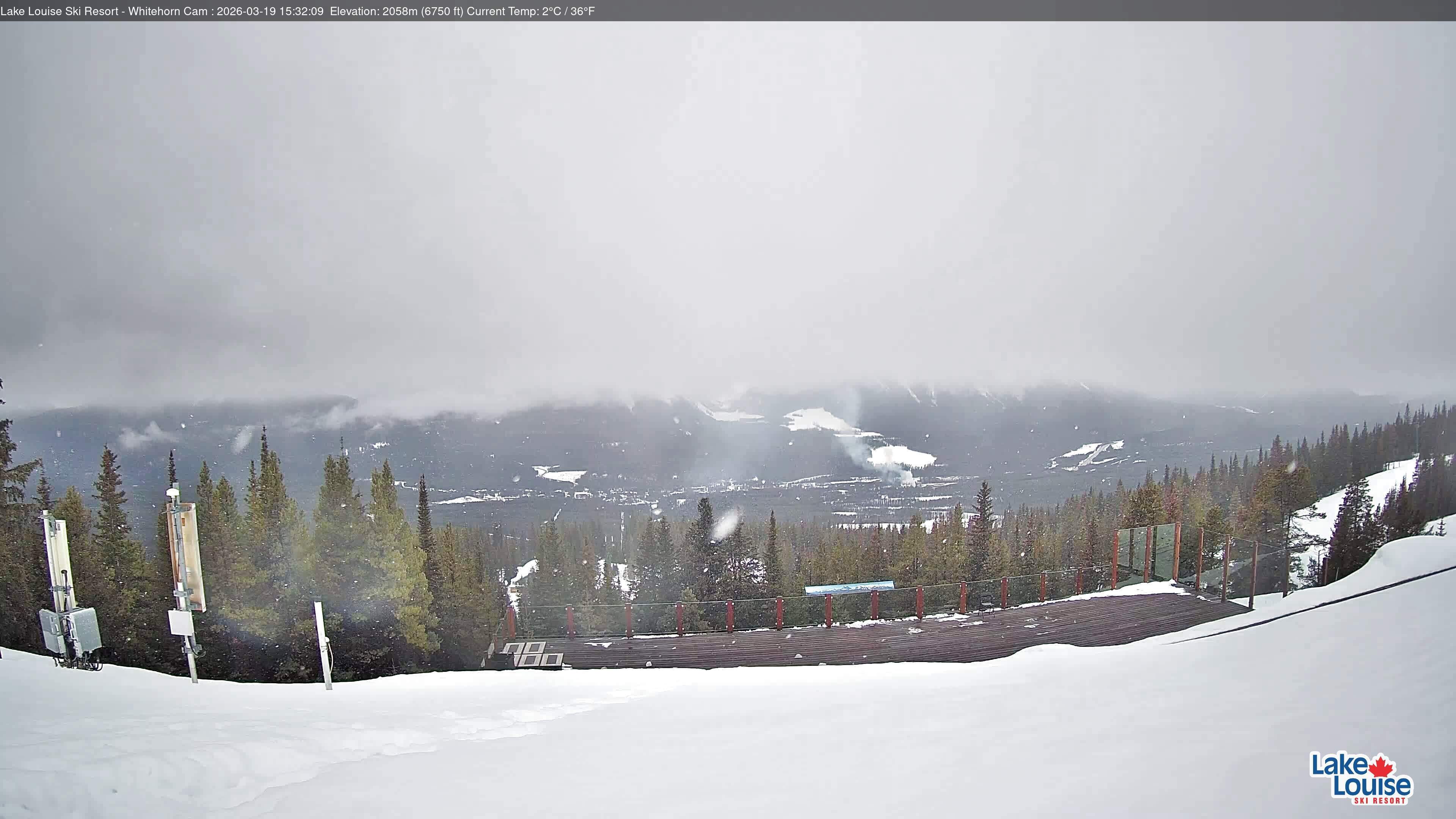 Archiv Foto Webcam Whitehorn Lodge (2.058m)