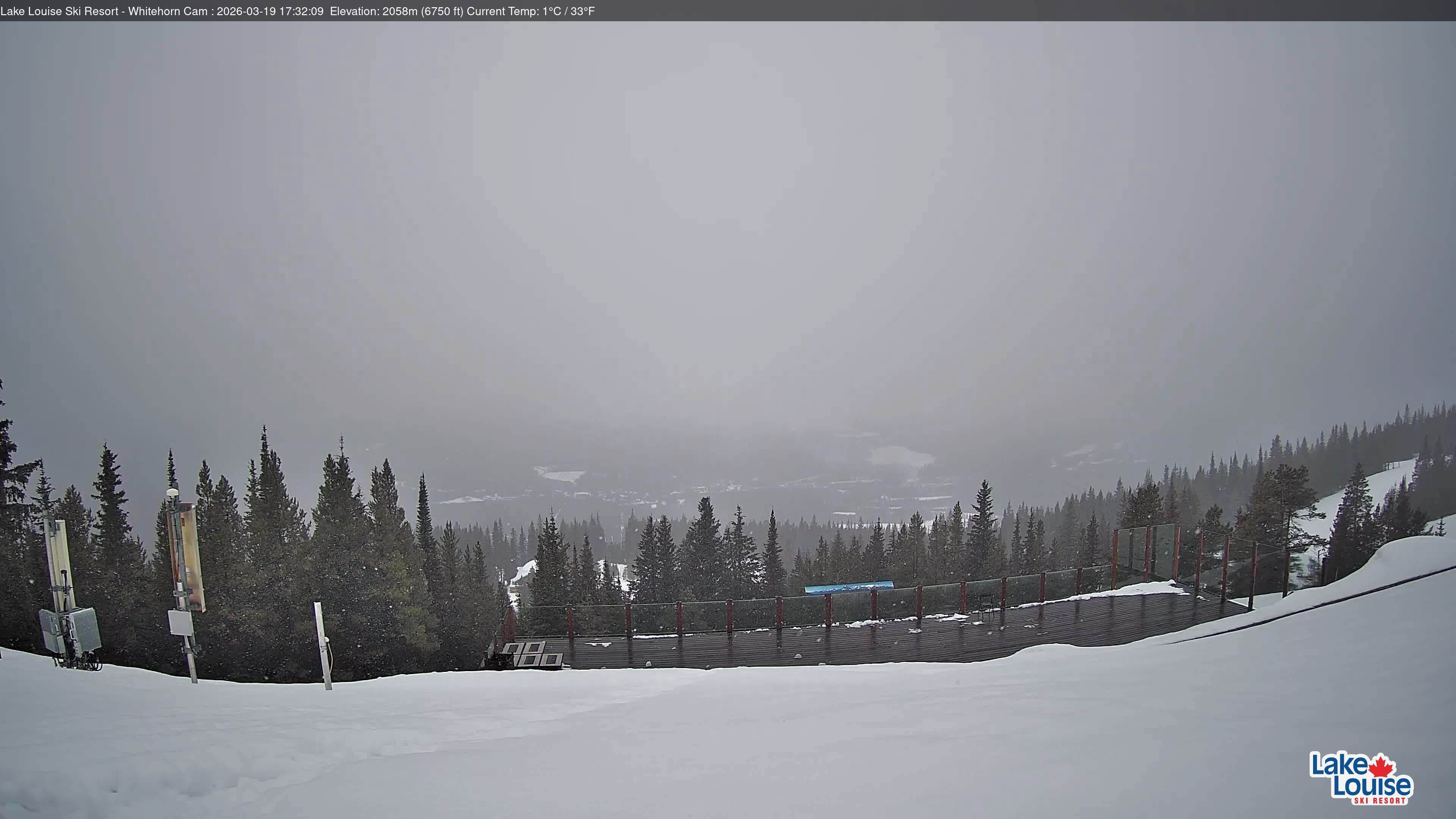Archiv Foto Webcam Whitehorn Lodge (2.058m)