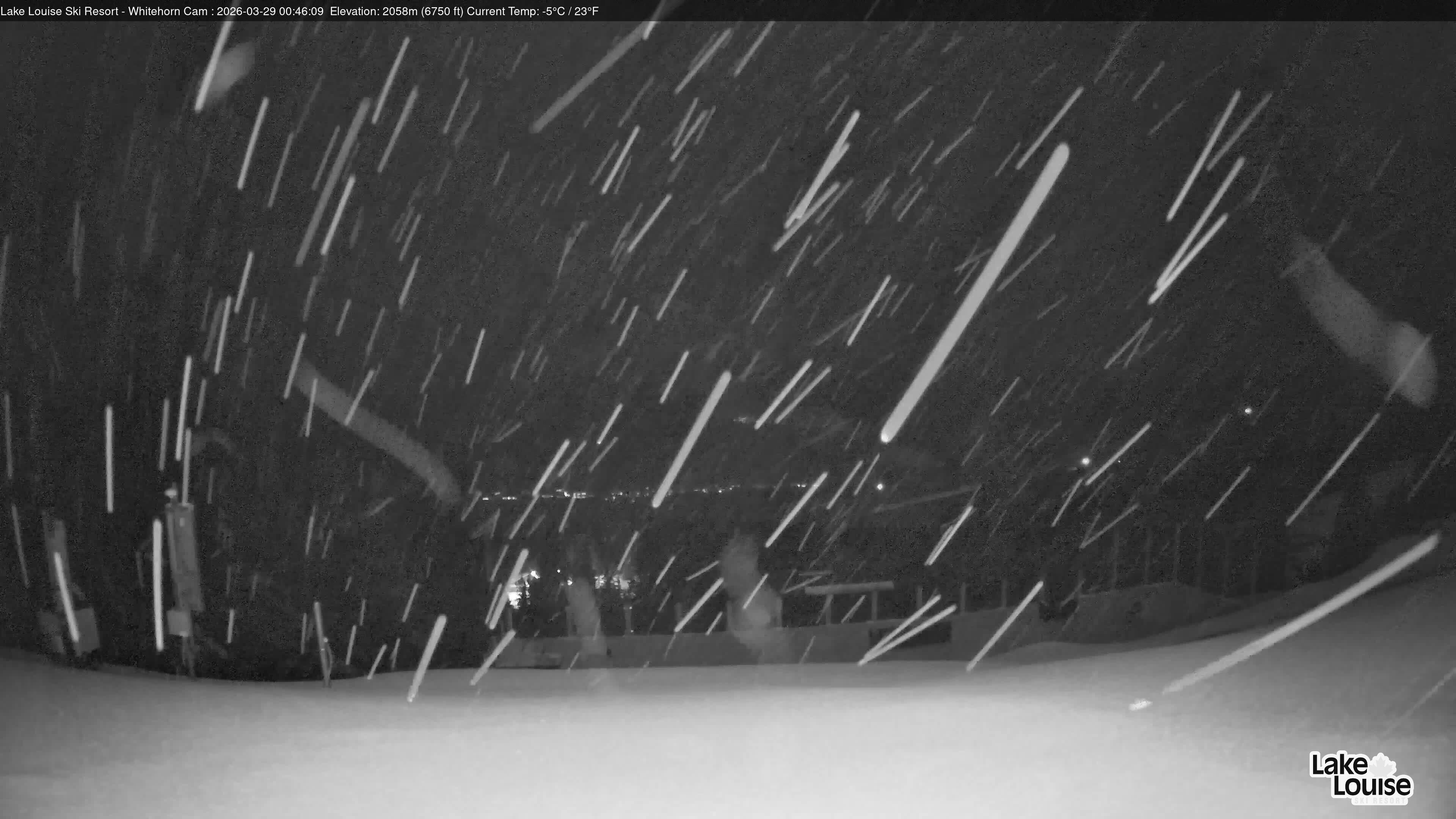Archiv Foto Webcam Whitehorn Lodge (2.058m)
