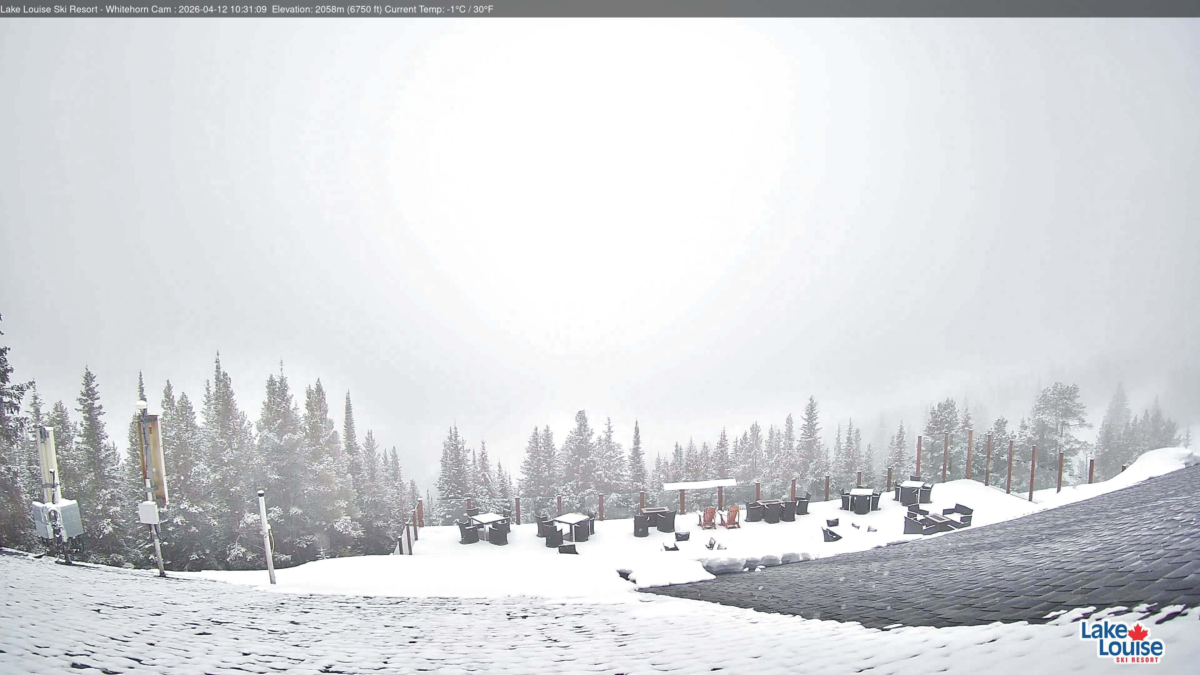 Archived image Webcam Whitehorn Lodge (2.058m)