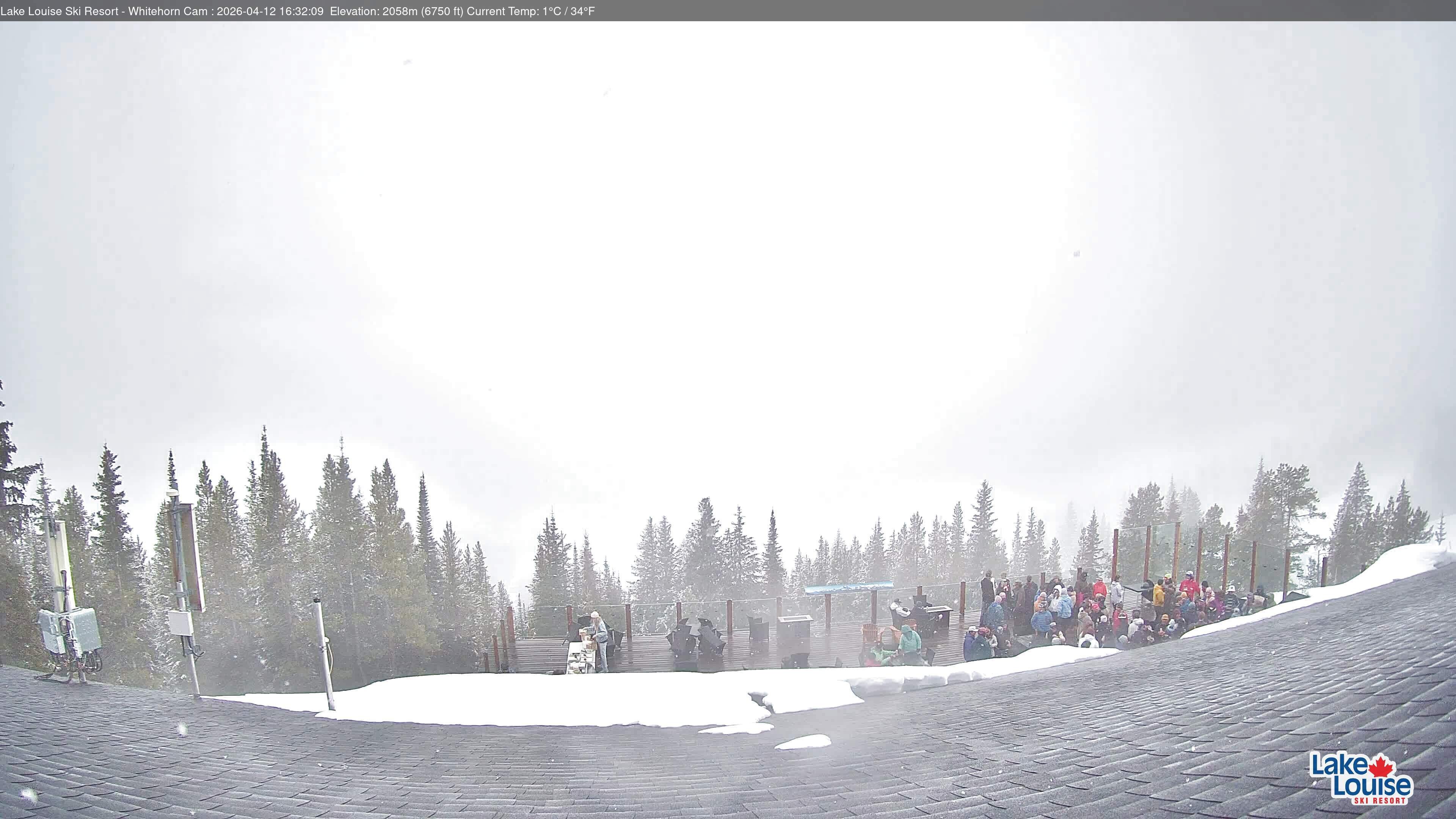 Archived image Webcam Whitehorn Lodge (2.058m)