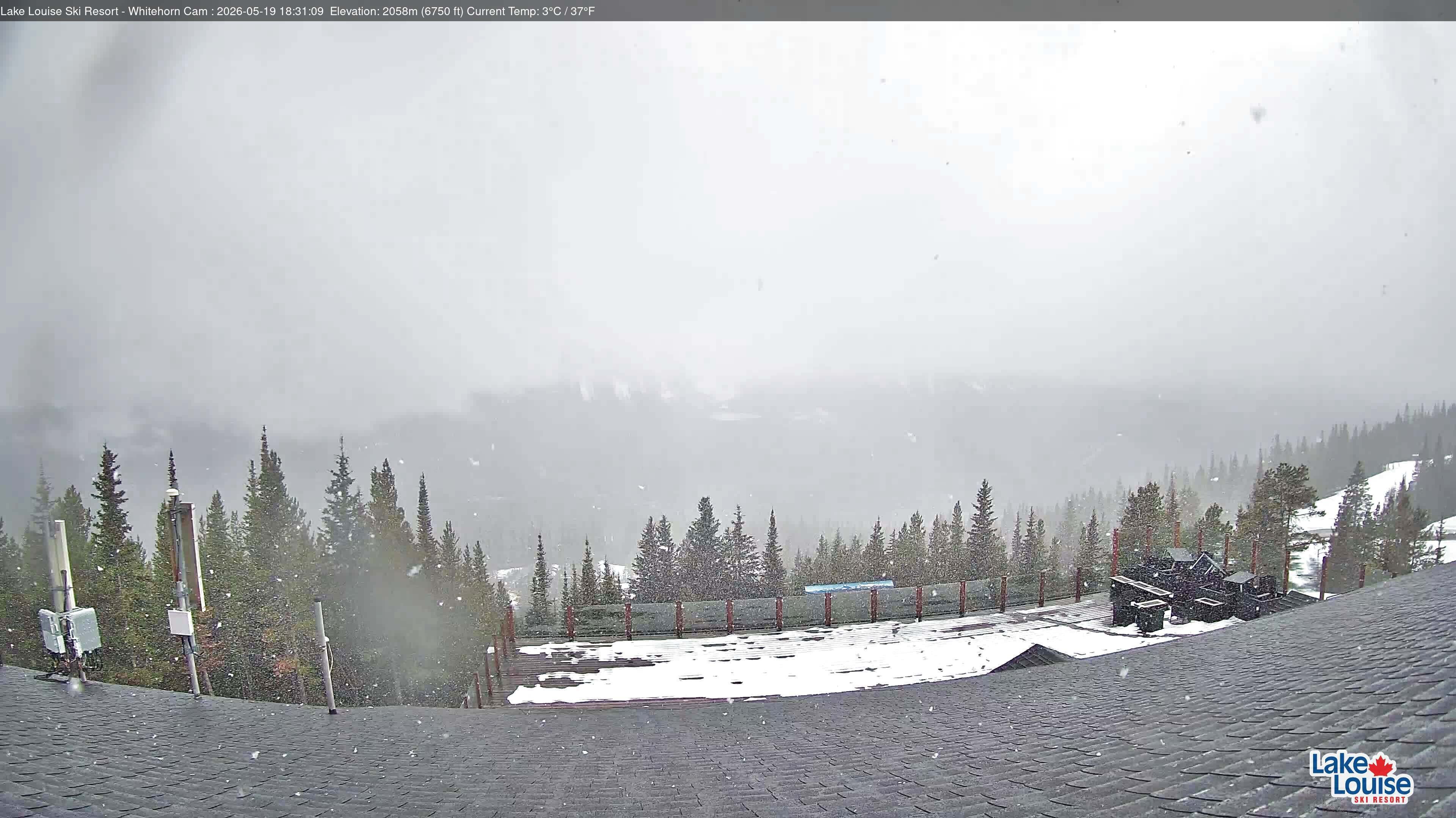 Archived image Webcam Whitehorn Lodge (2.058m)