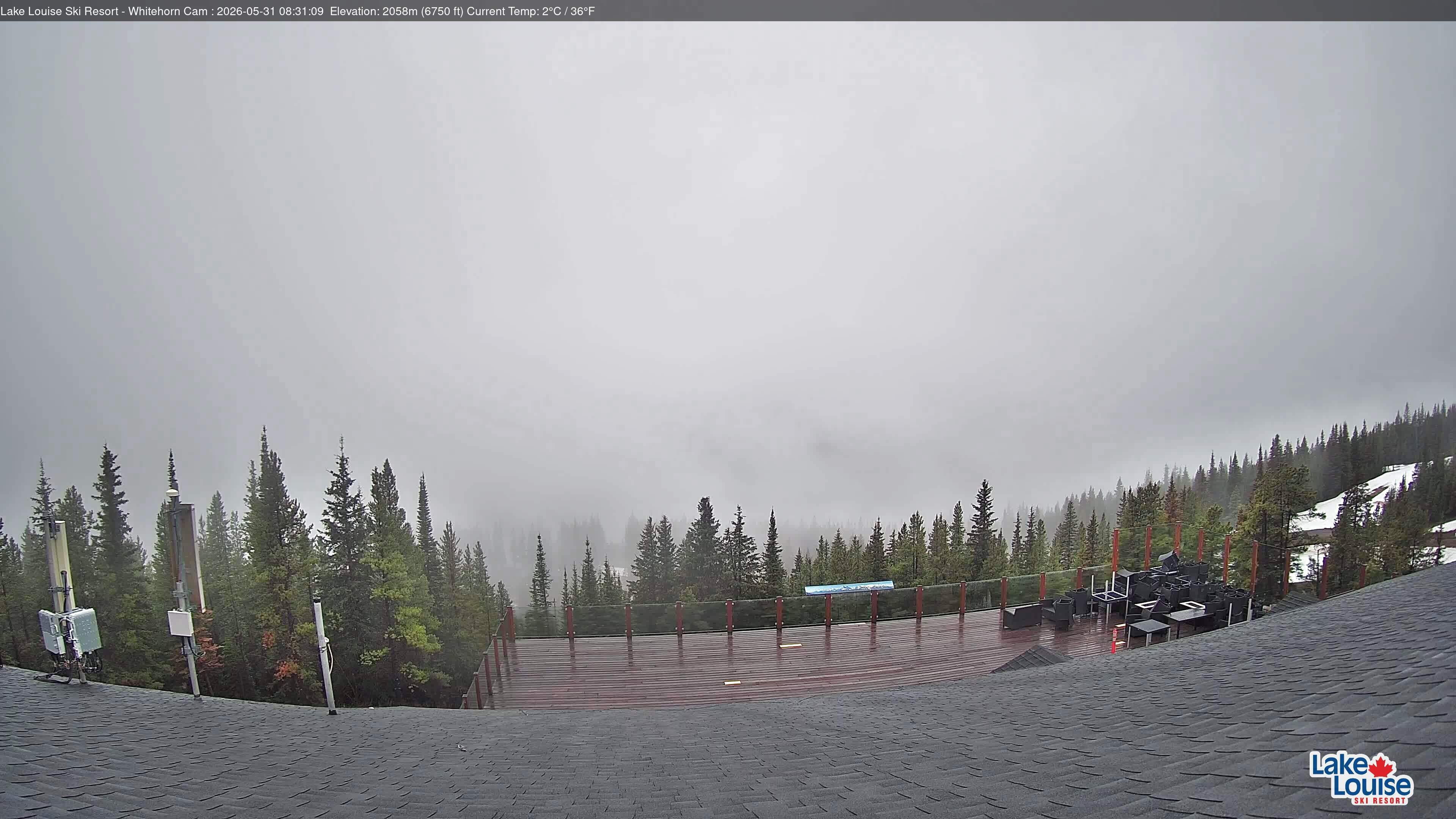 Archiv Foto Webcam Whitehorn Lodge (2.058m)