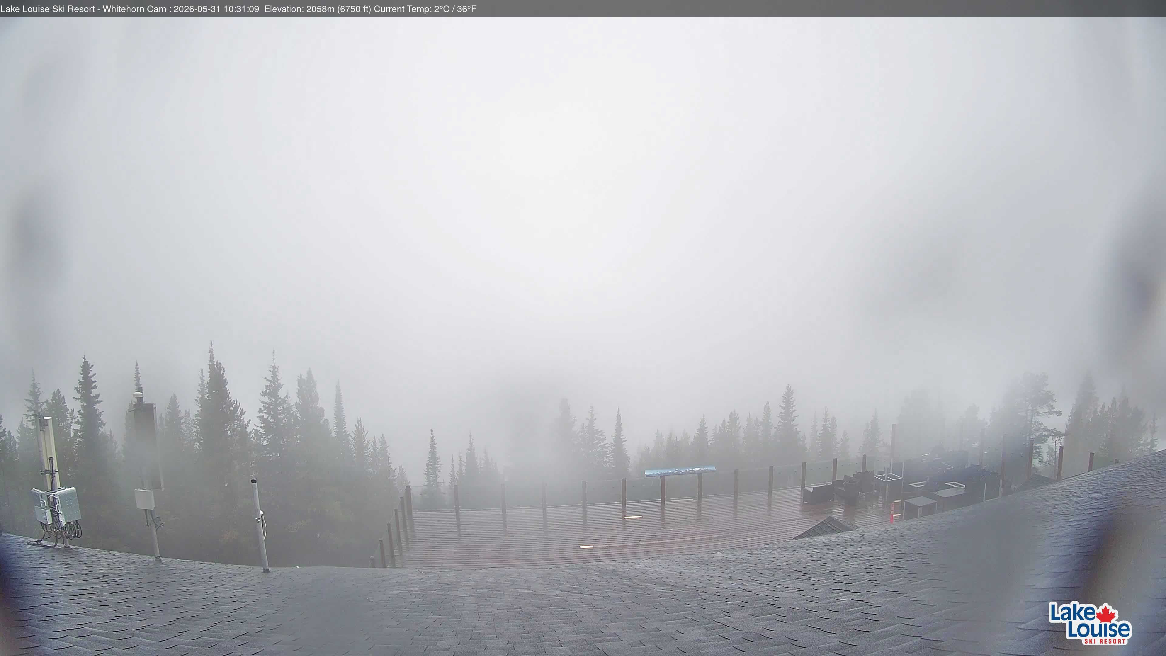 Archiv Foto Webcam Whitehorn Lodge (2.058m)