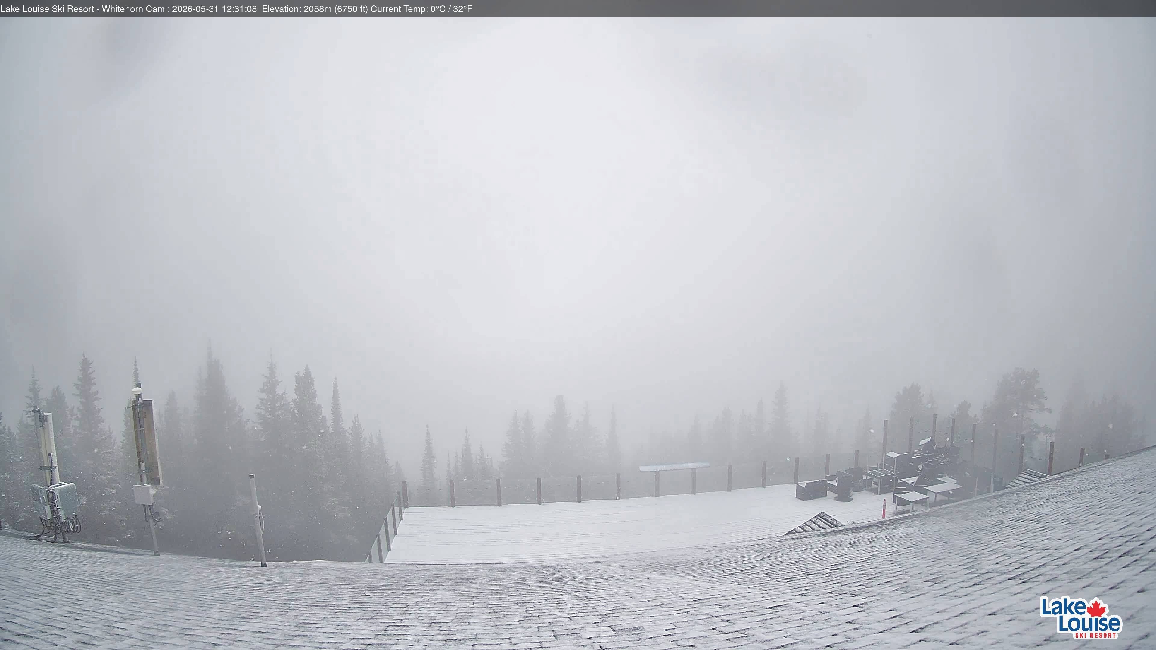 Archiv Foto Webcam Whitehorn Lodge (2.058m)