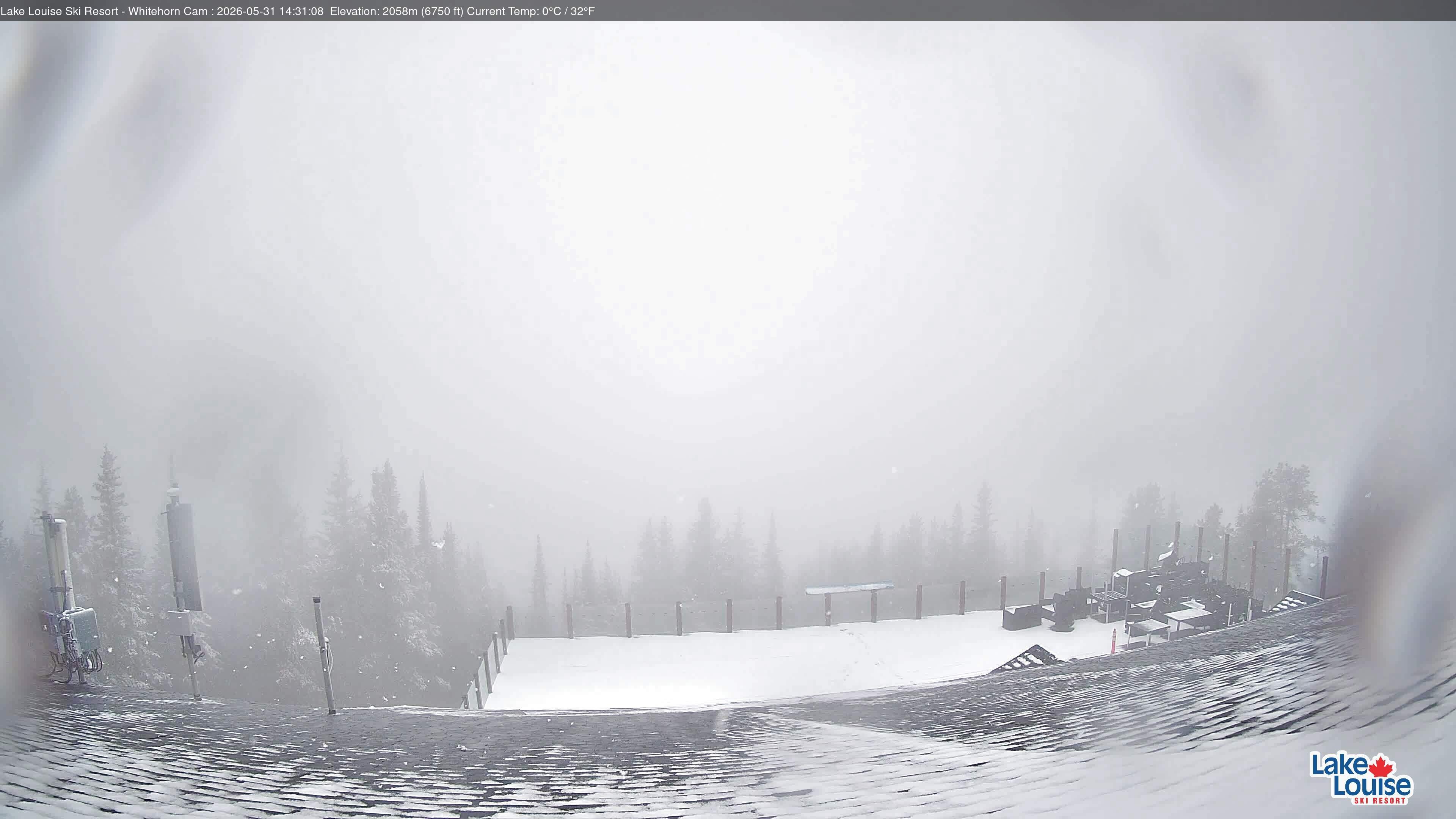Archiv Foto Webcam Whitehorn Lodge (2.058m)
