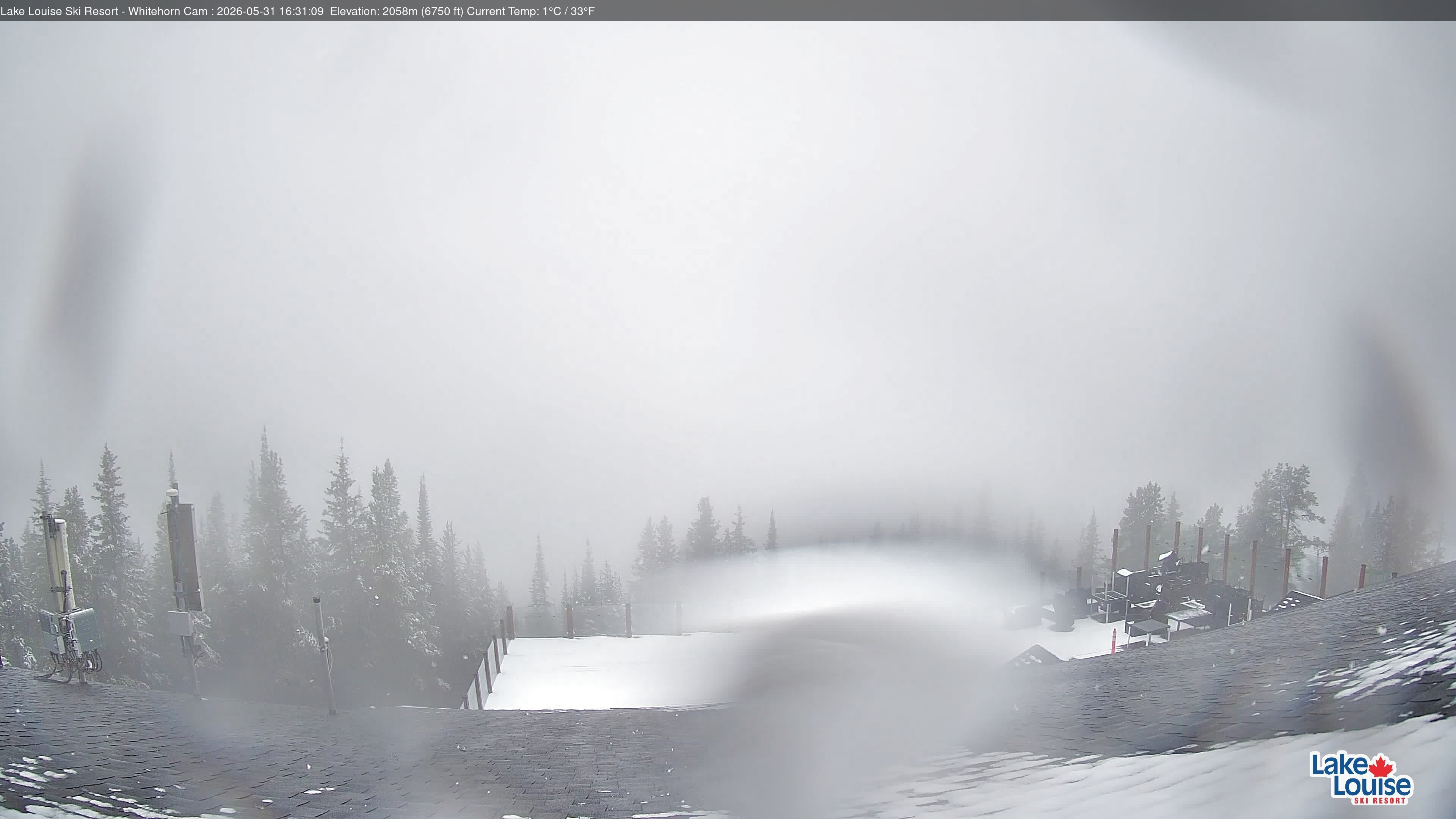 Archiv Foto Webcam Whitehorn Lodge (2.058m)