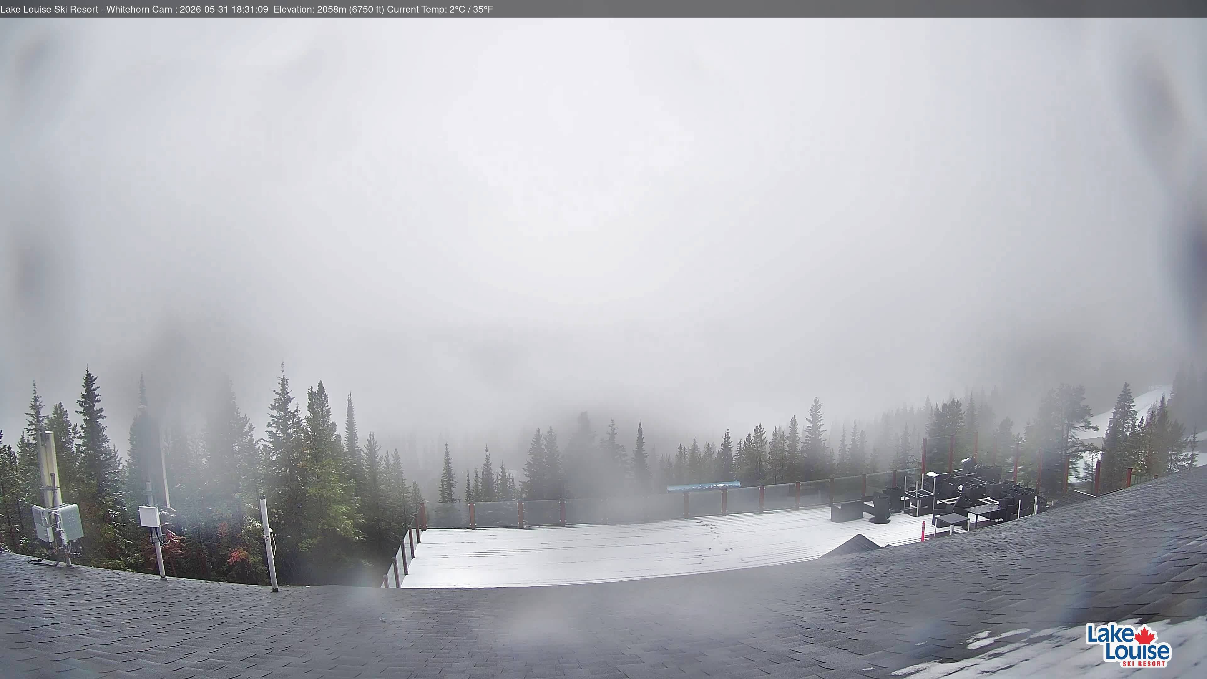 Archiv Foto Webcam Whitehorn Lodge (2.058m)