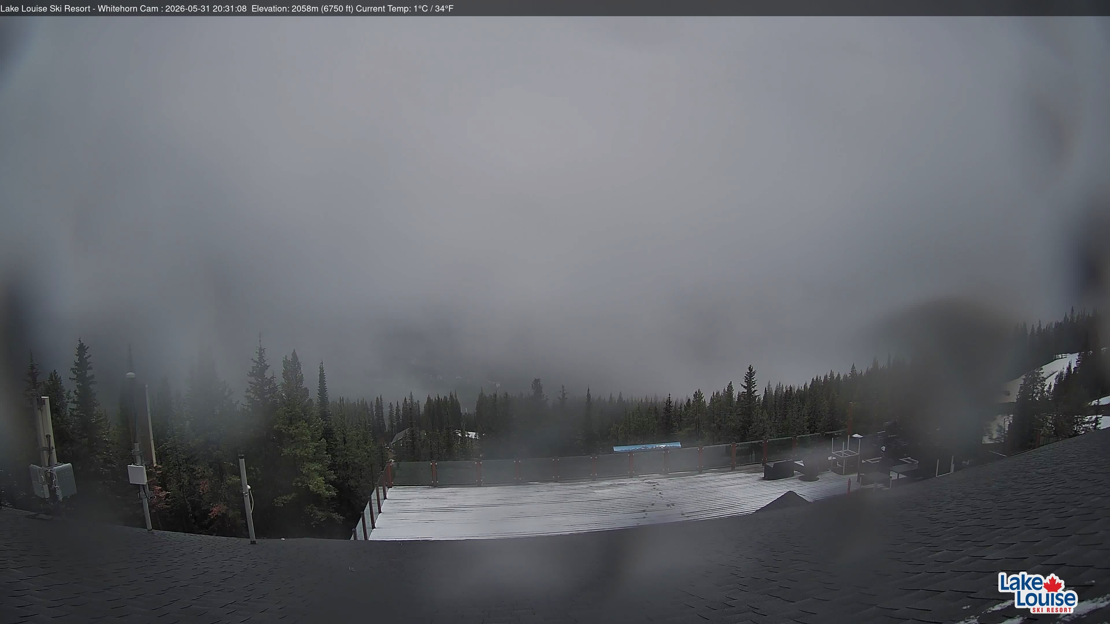 Archiv Foto Webcam Whitehorn Lodge (2.058m)