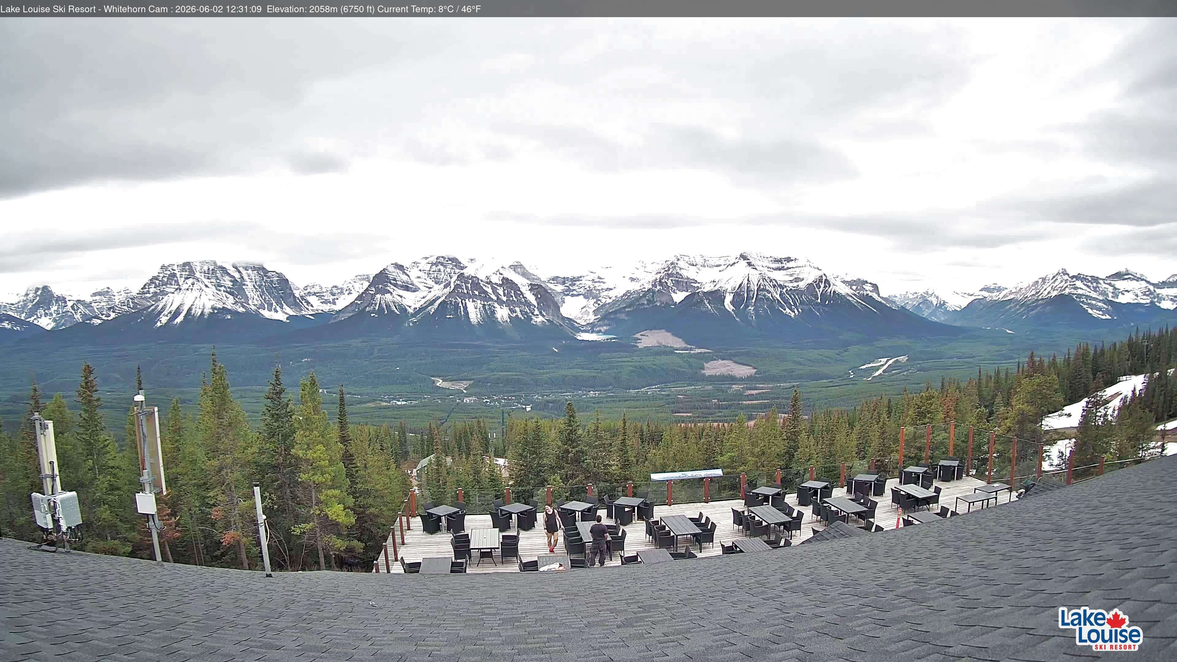 Archiv Foto Webcam Whitehorn Lodge (2.058m)