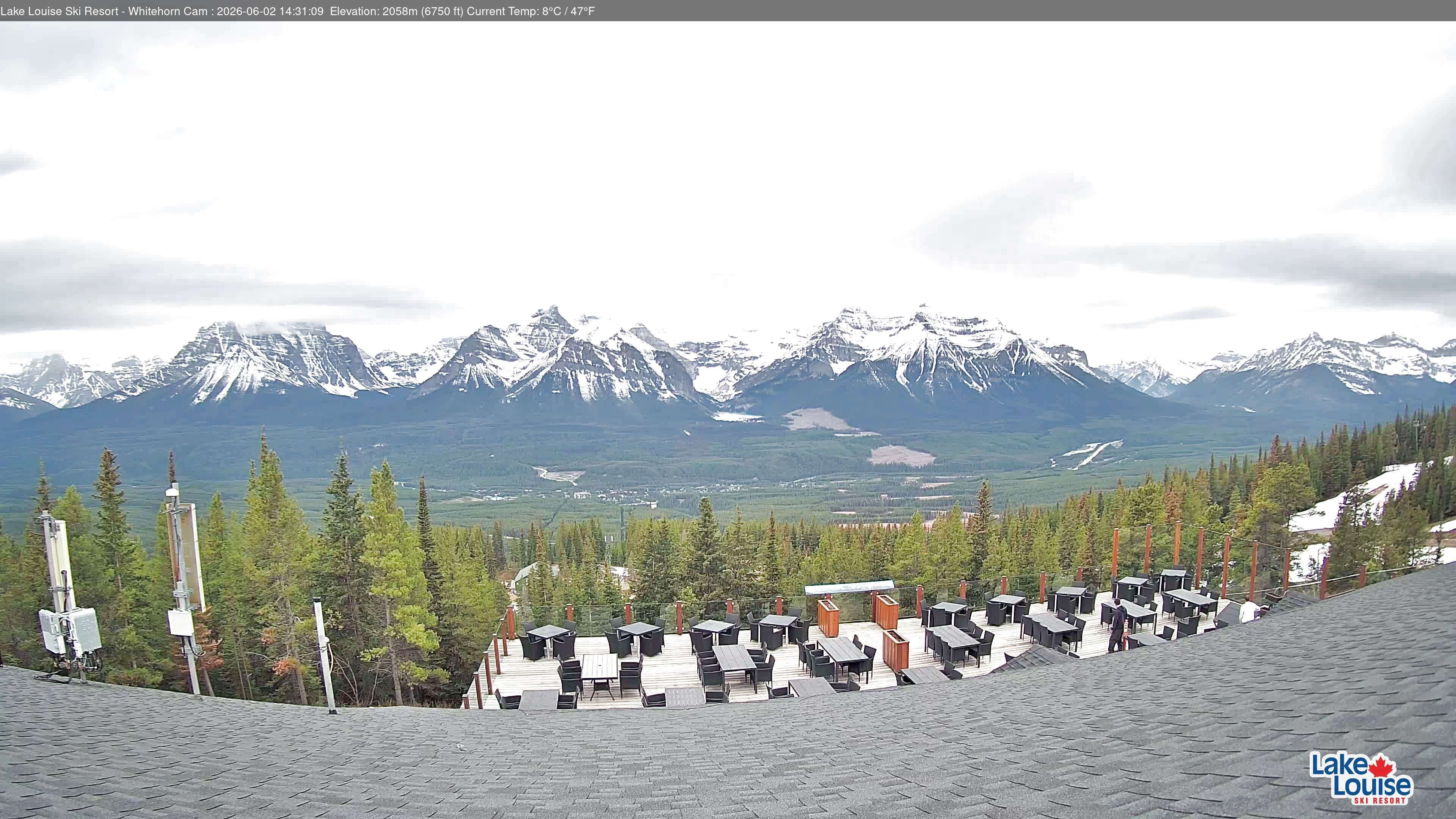 Archiv Foto Webcam Whitehorn Lodge (2.058m)