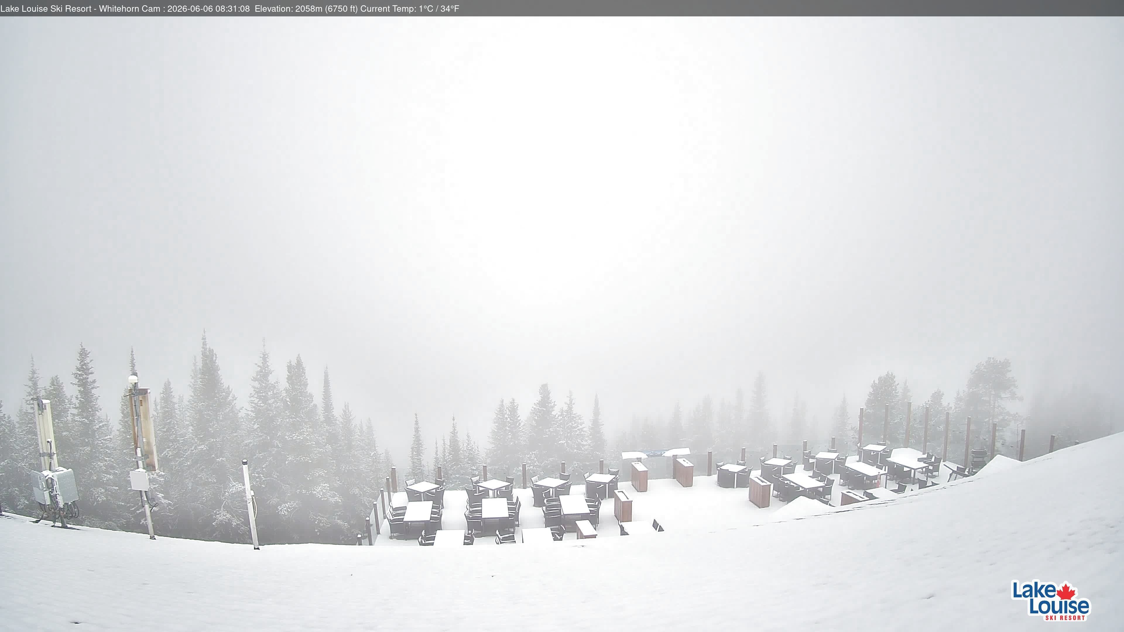 Archived image Webcam Whitehorn Lodge (2.058m)