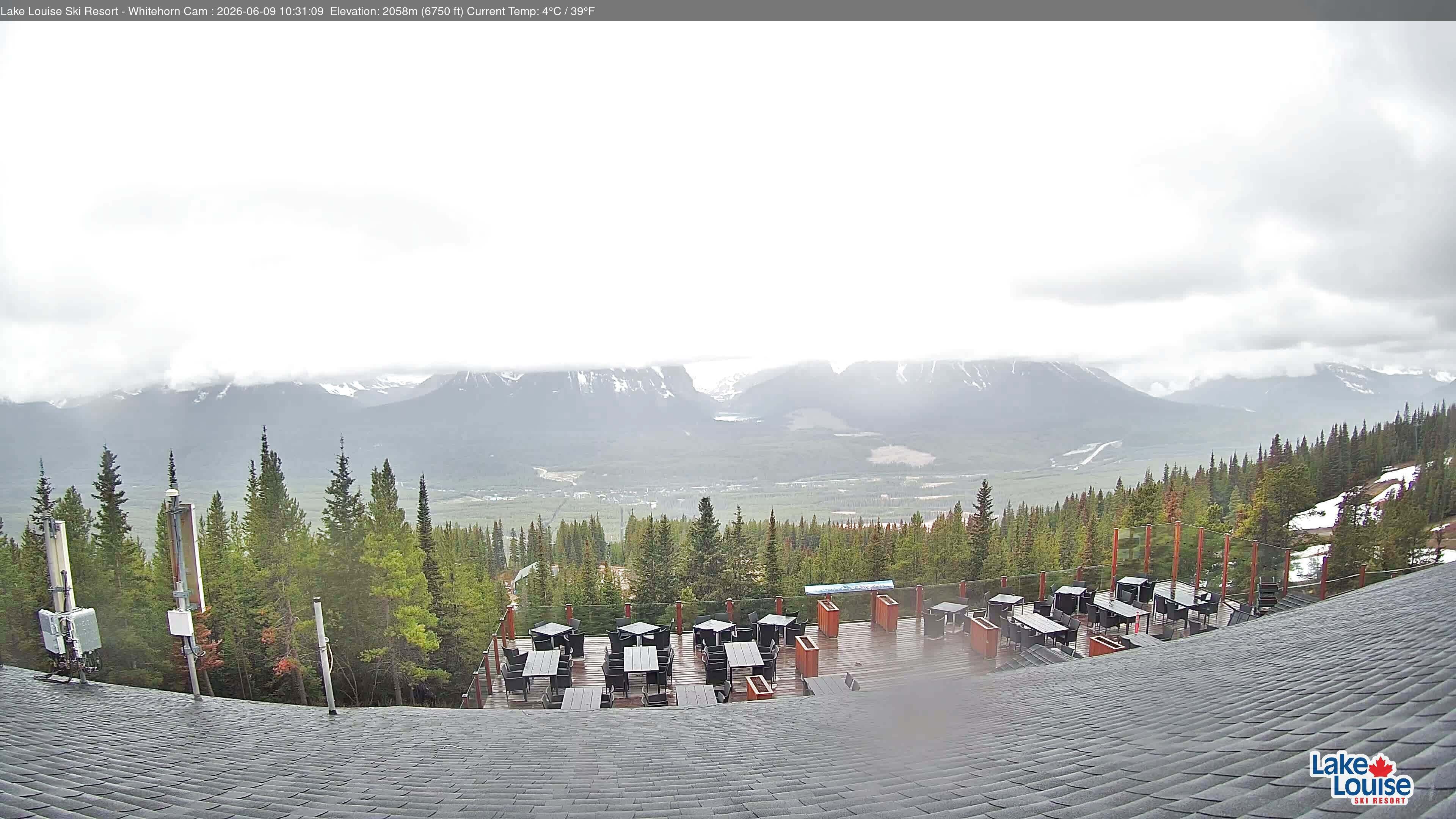 Archiv Foto Webcam Whitehorn Lodge (2.058m)