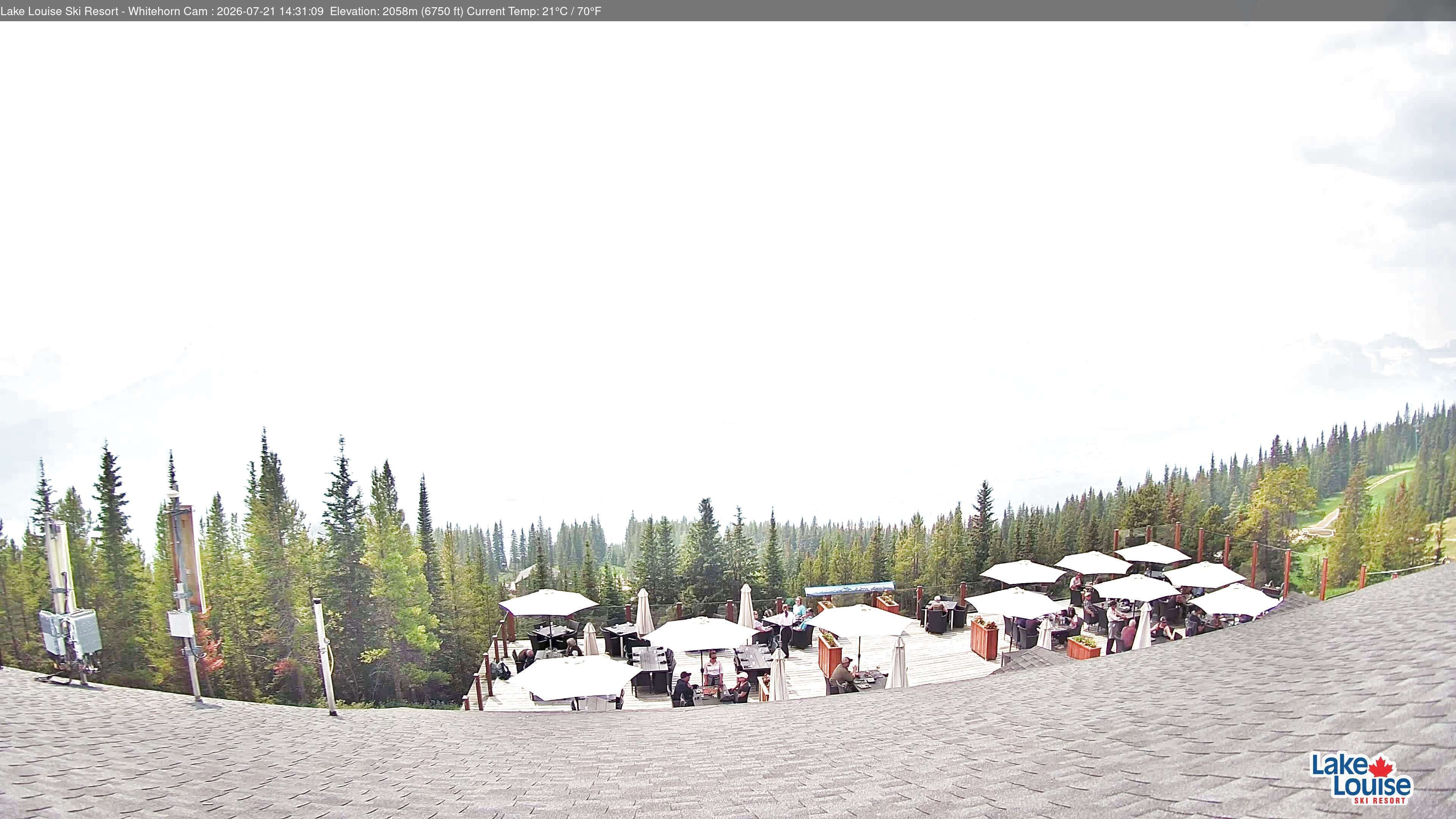 Archiv Foto Webcam Whitehorn Lodge (2.058m)