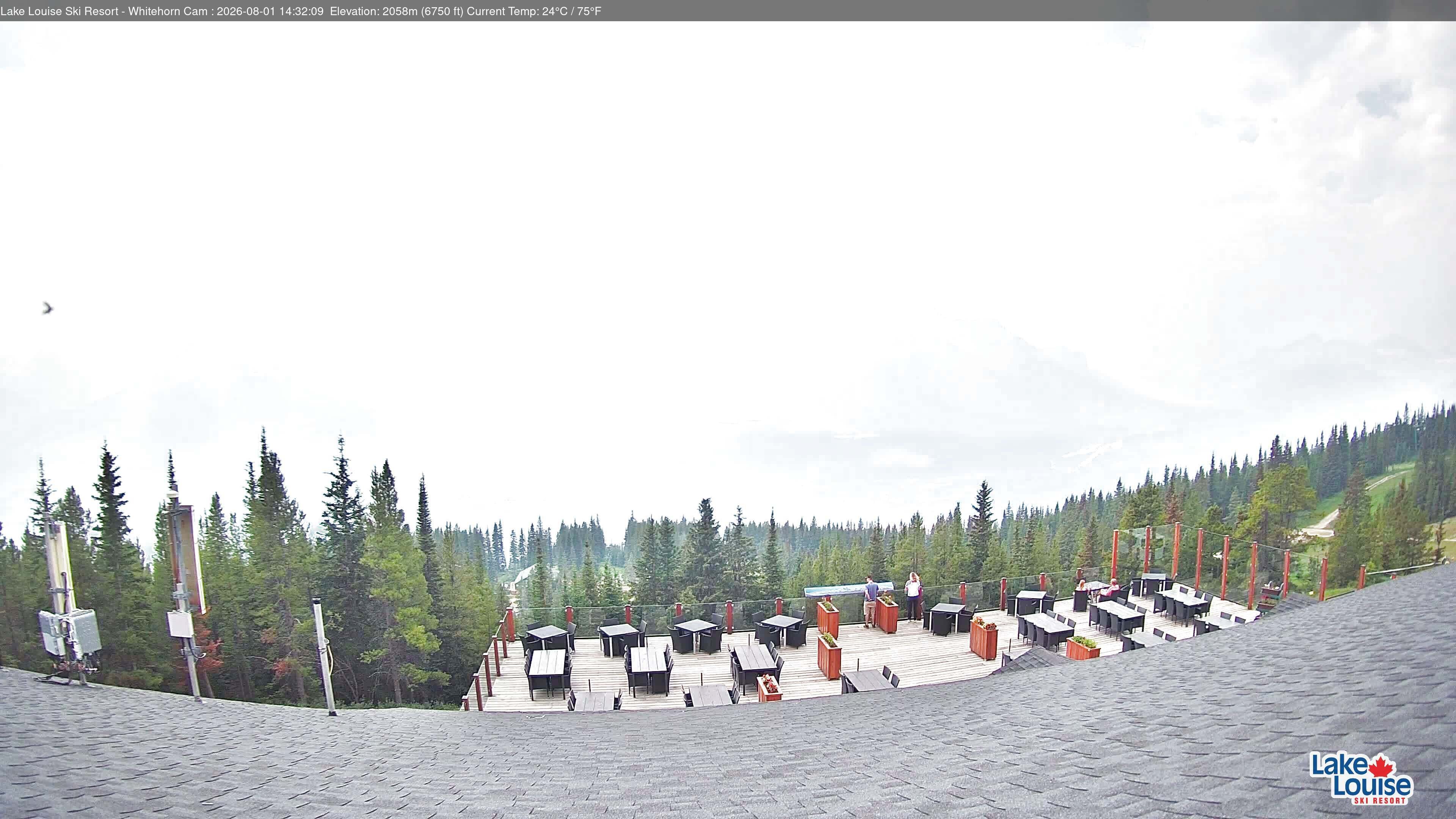 Archiv Foto Webcam Whitehorn Lodge (2.058m)