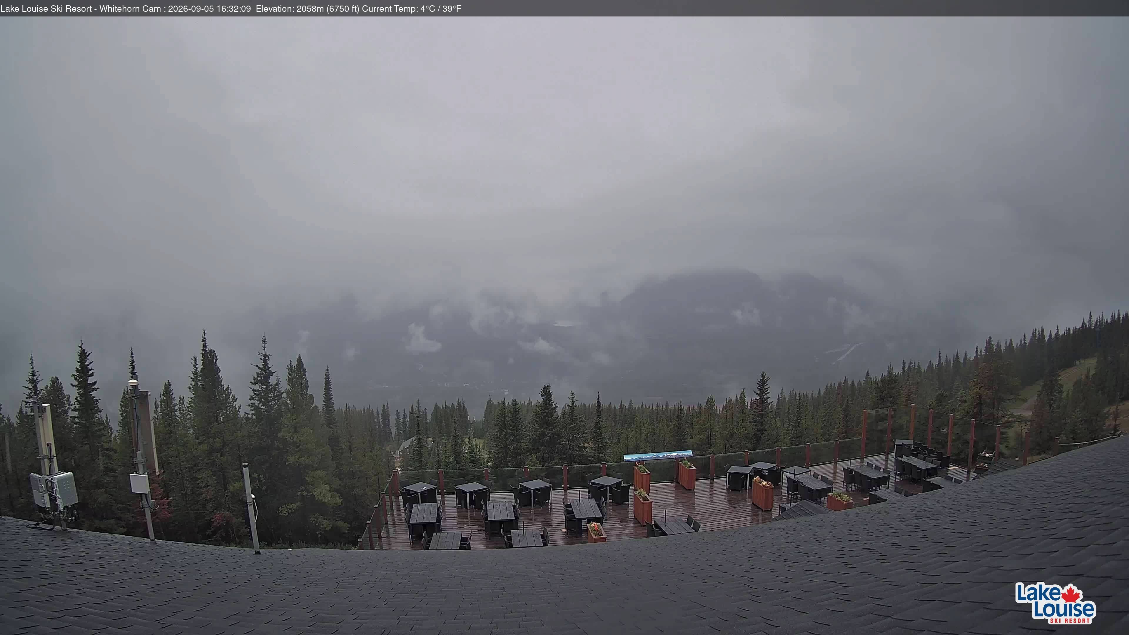 Archiv Foto Webcam Whitehorn Lodge (2.058m)
