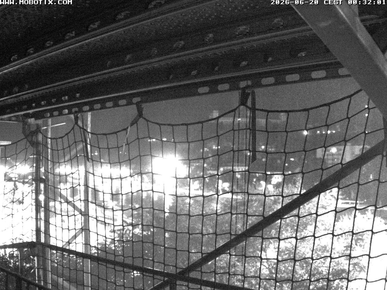 Archived image Webcam Fortress Würzburg, Bavaria