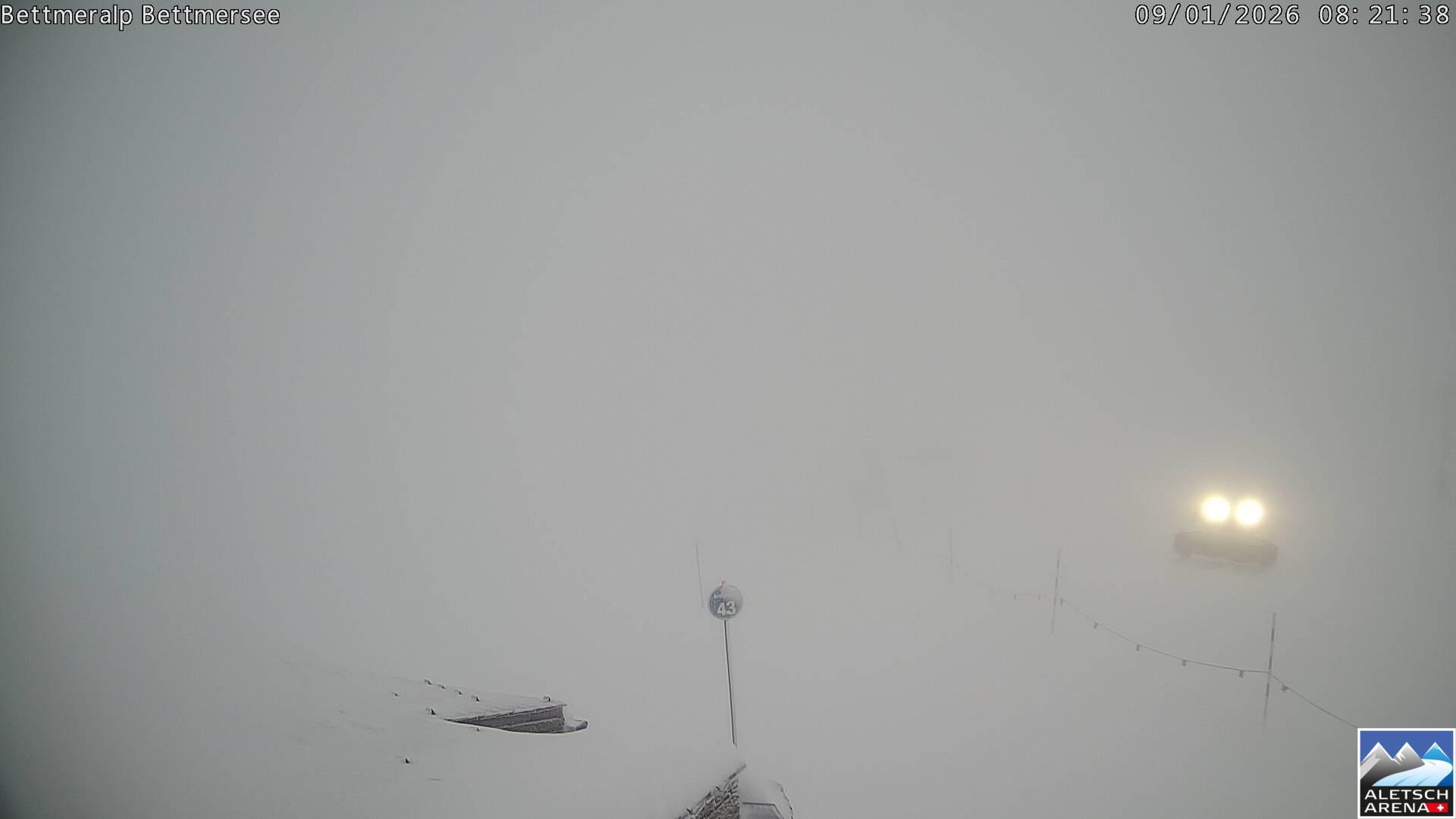 Archiv Foto Webcam Bettmersee